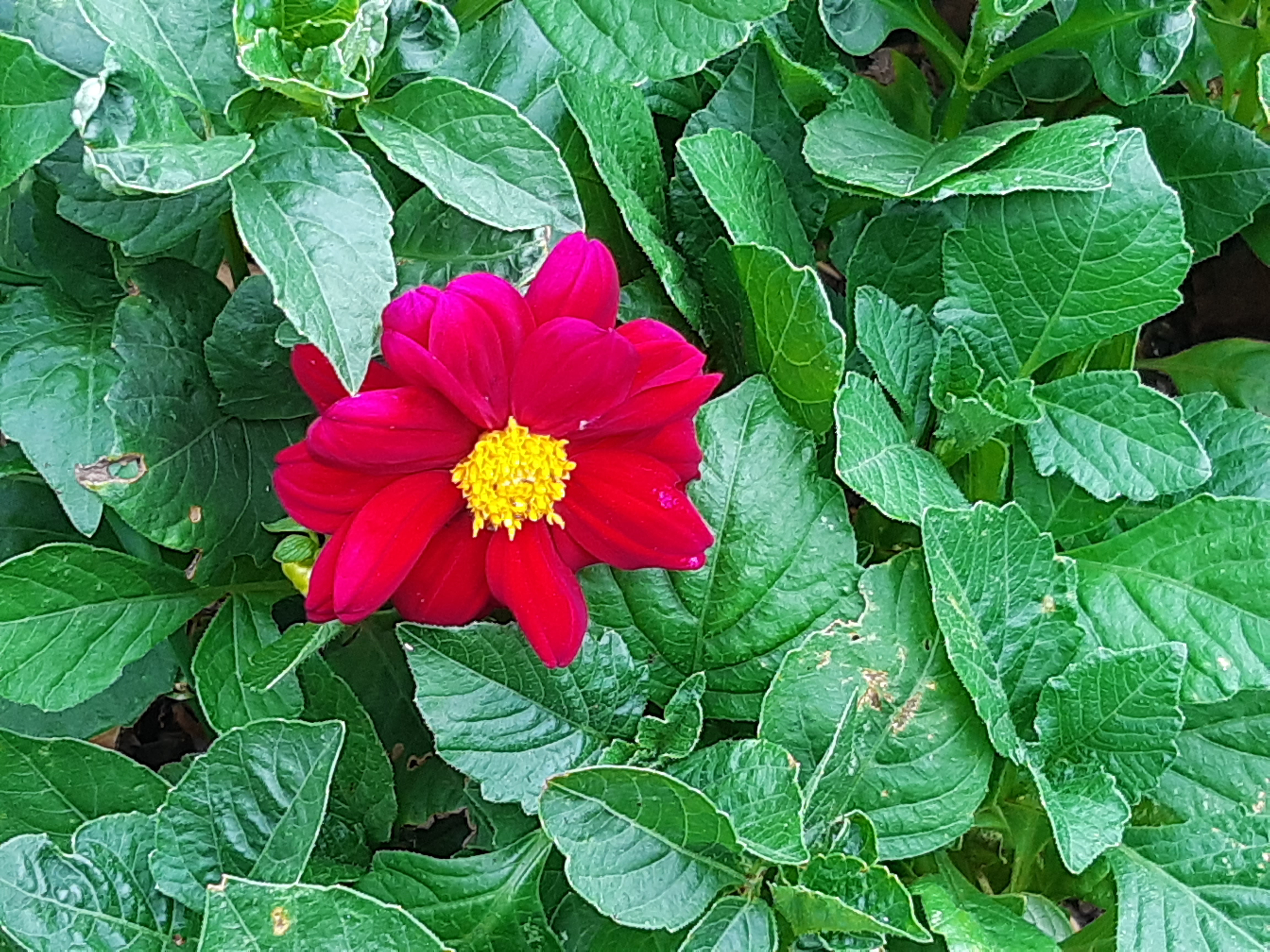 20220217_094829.jpg