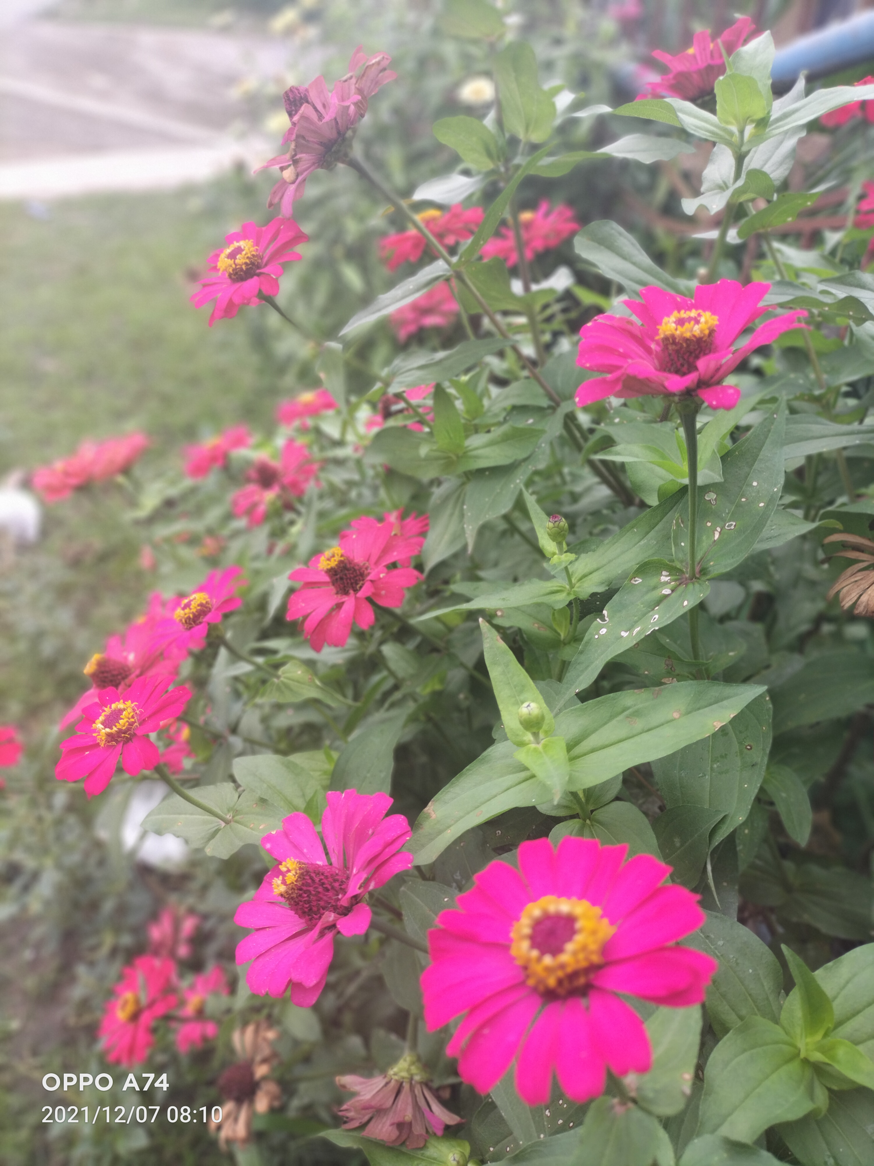 IMG20211207081011.jpg