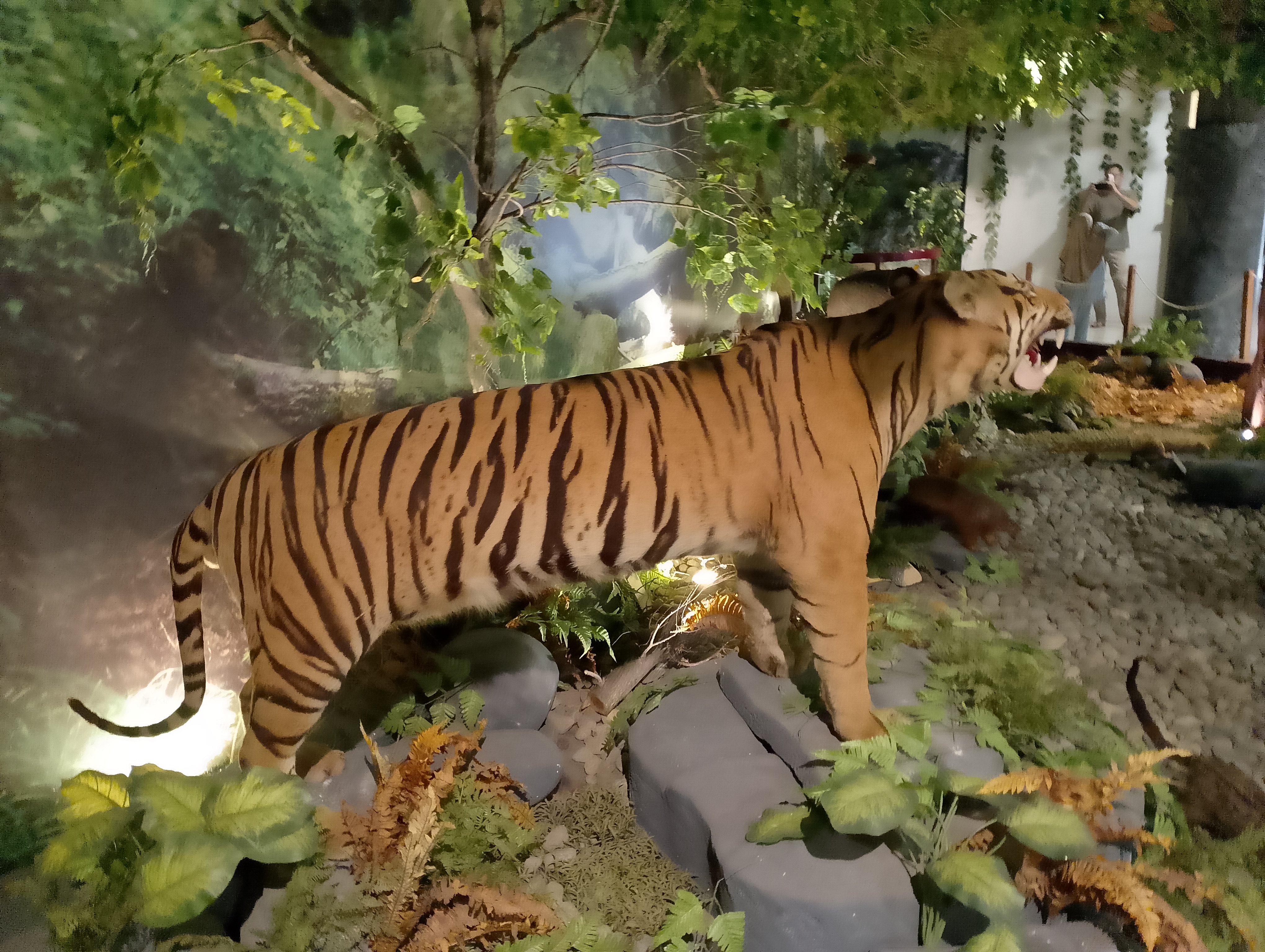 IMG_20250406_150710.jpg