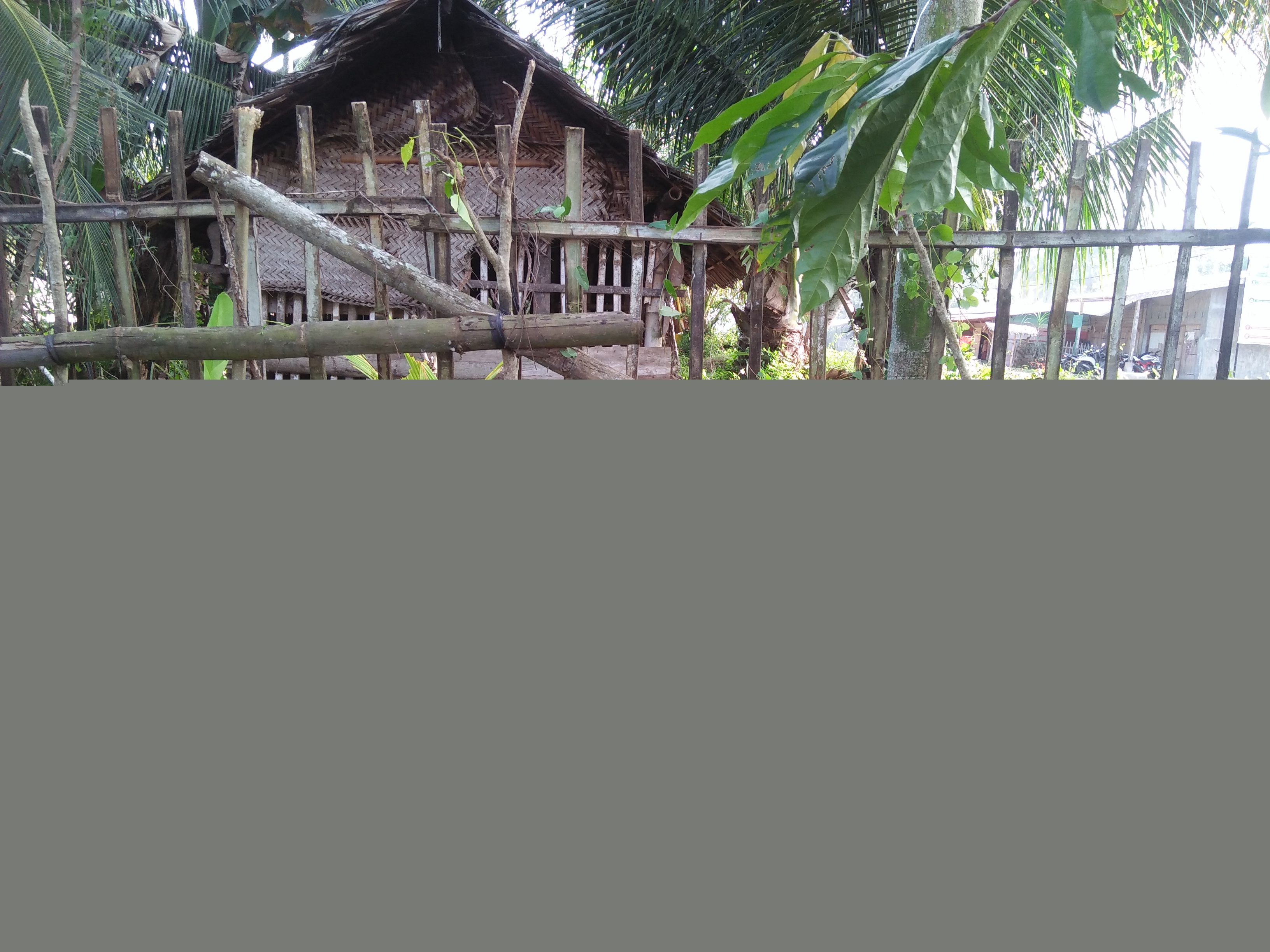 IMG20250129155549.jpg