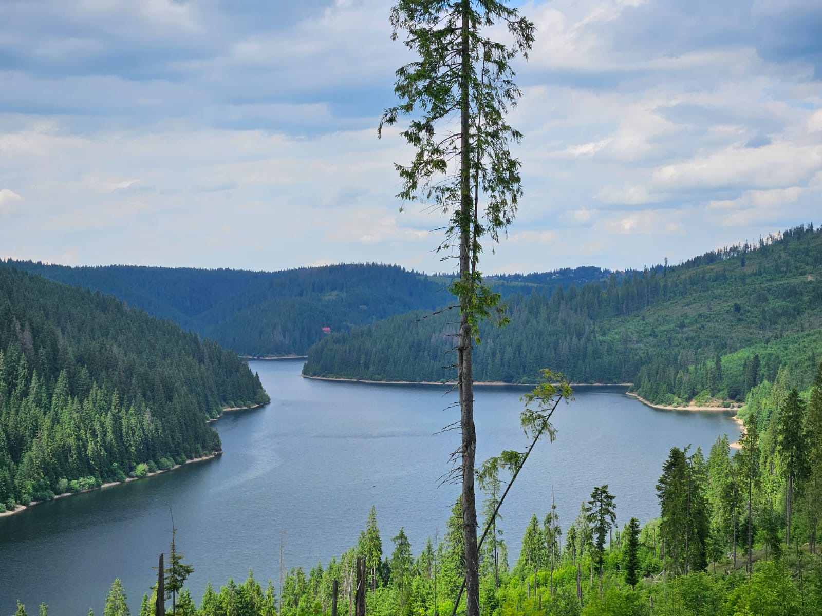 poza lacul belis.jpg