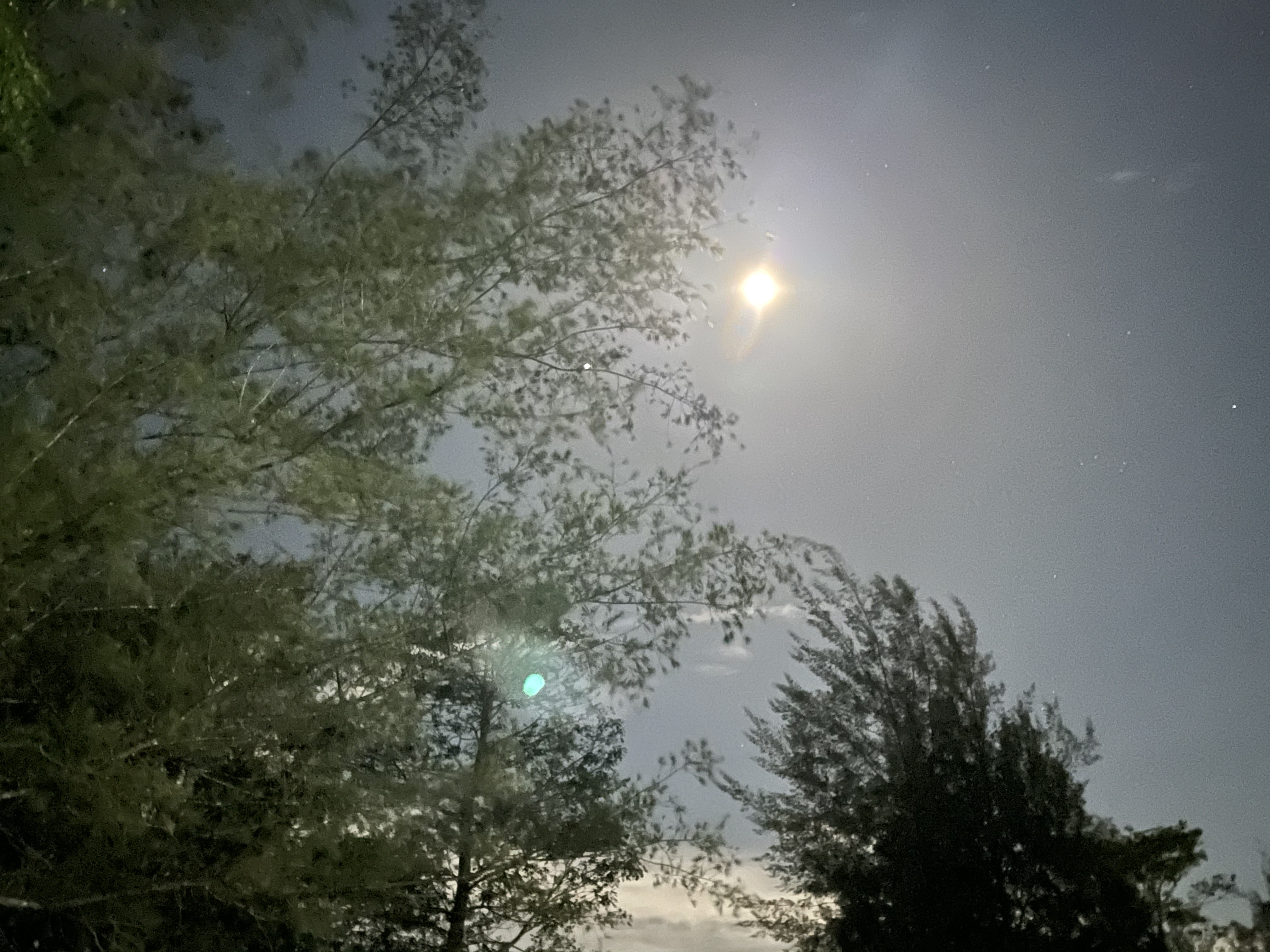 2FE6999D-804A-4AD5-B0E0-AD96AF06CD3D.jpeg