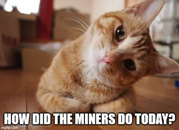 Screenshot 2022-12-01 at 17-14-35 Curious Question Cat Meme Generator - Imgflip.png