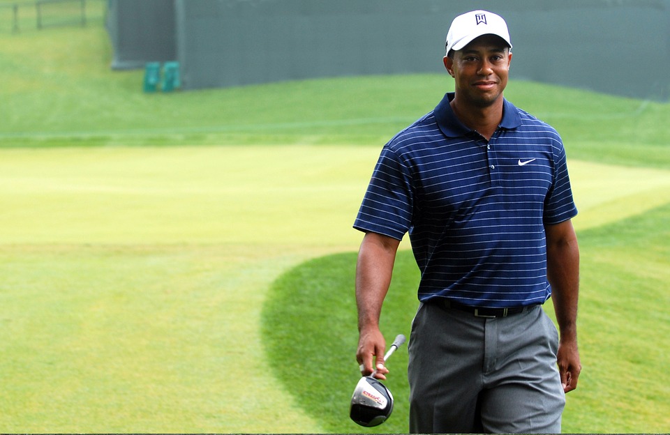 tiger-woods-79694_960_720.jpg