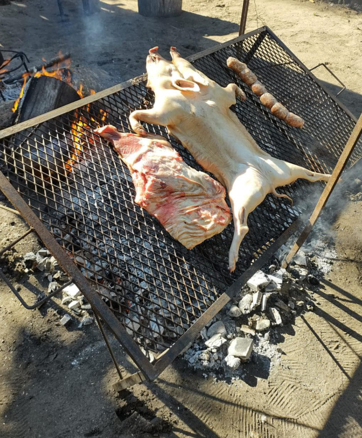 chanchito.png