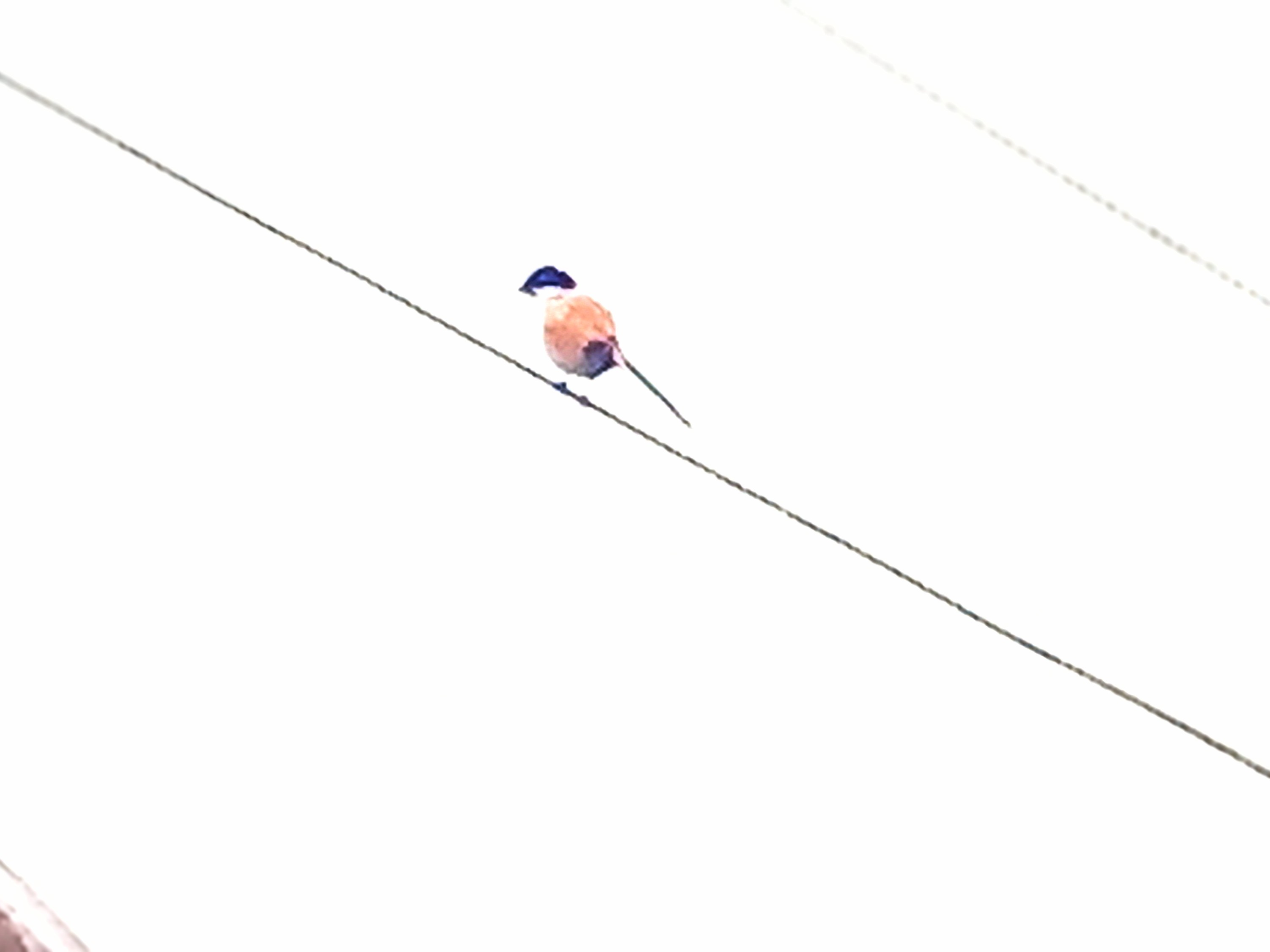 20250321_162228~2.jpg
