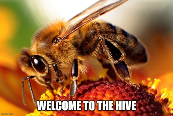Screenshot_2020-05-04 Busy as a Bee Meme Generator - Imgflip.png