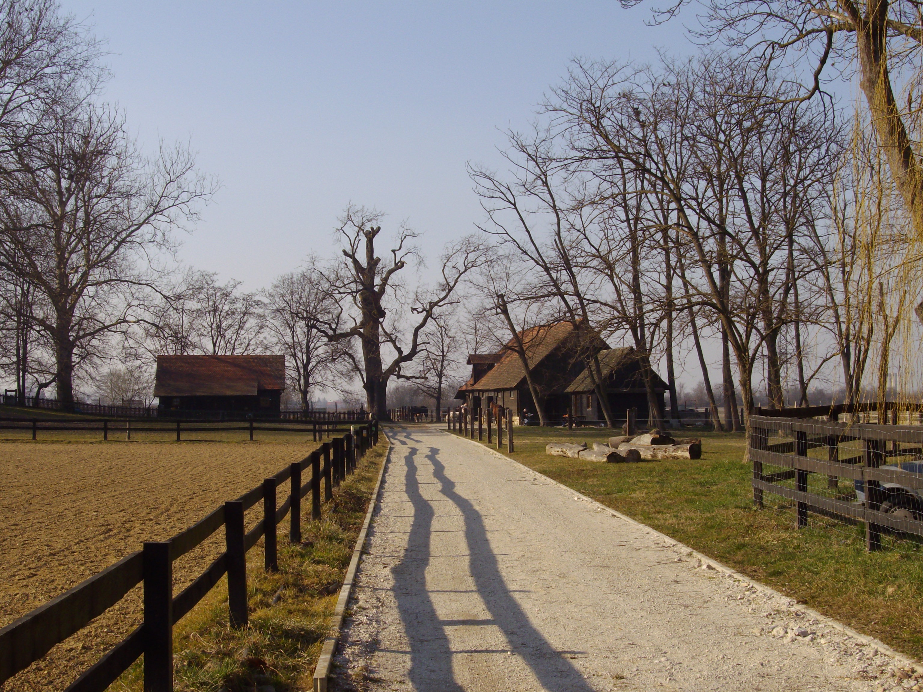 brezovica3-2008.JPG