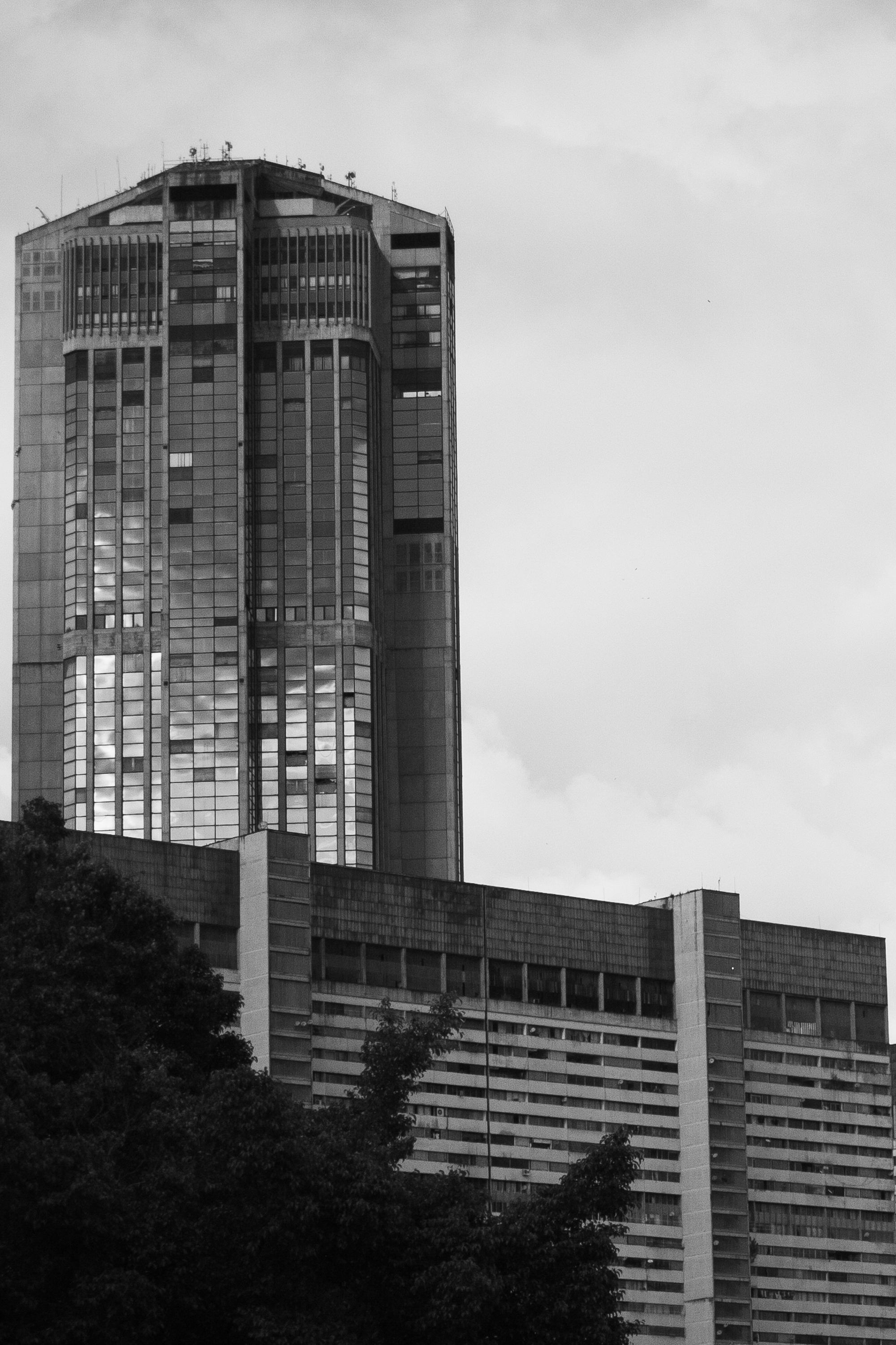 _MG_0016.jpg