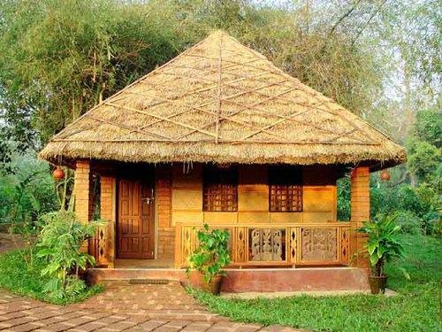 bamboo-fence-exterior-500x500.jpg