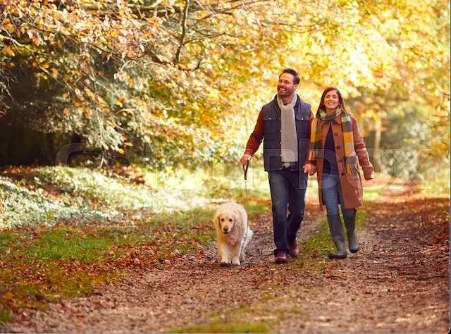 Autumn Walk.png