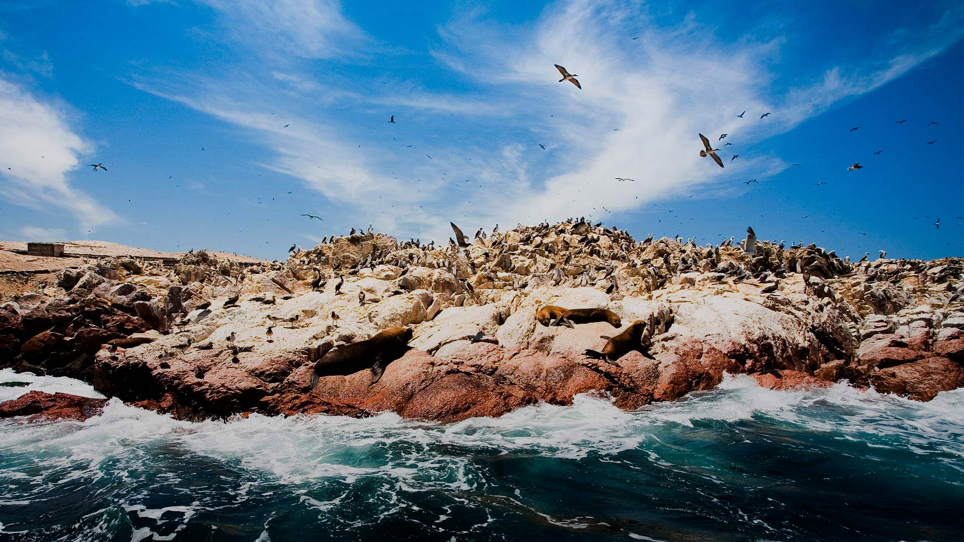 Paracas e Islas Ballestas.jpg