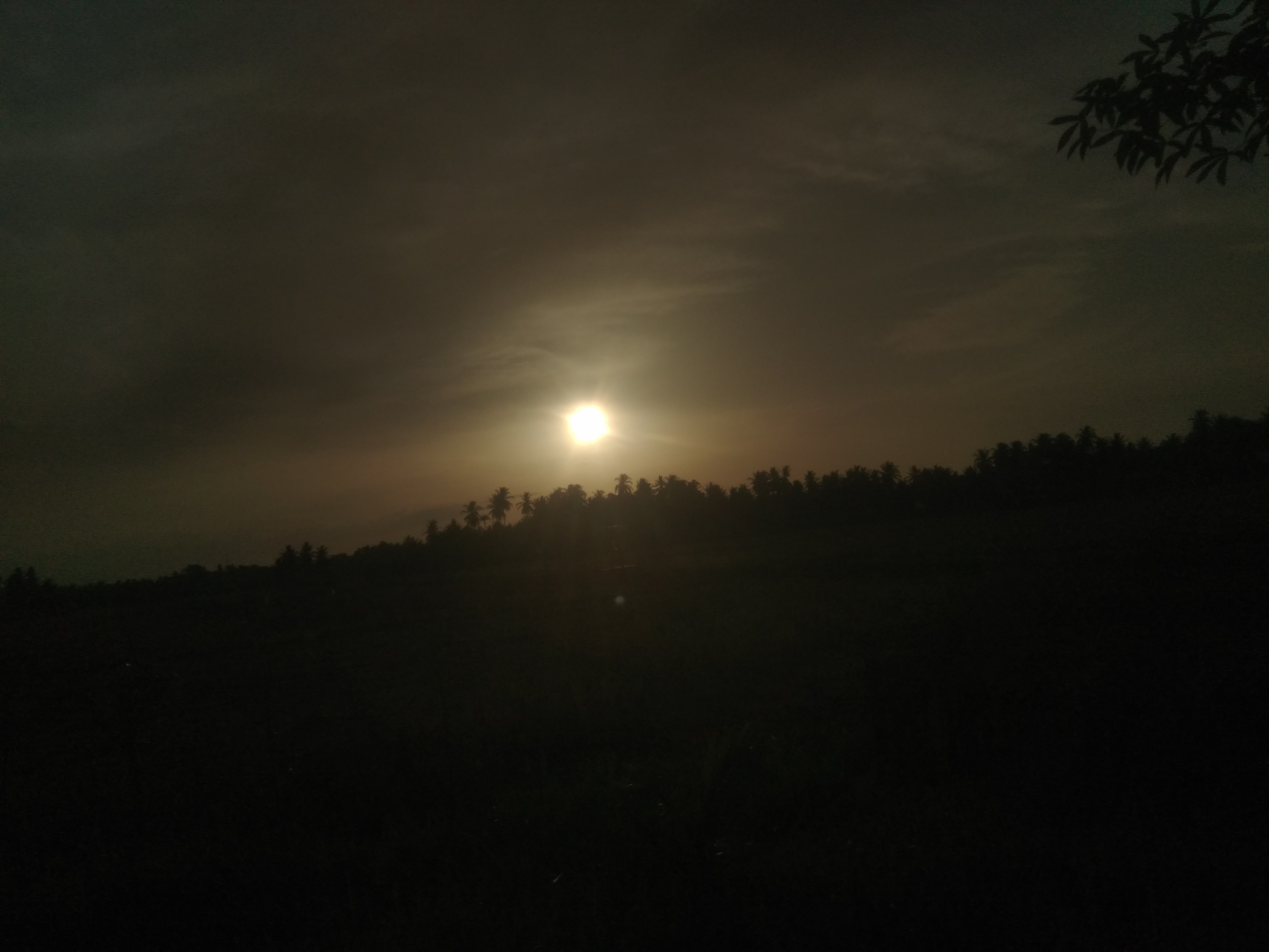 IMG_20220714_181646.jpg