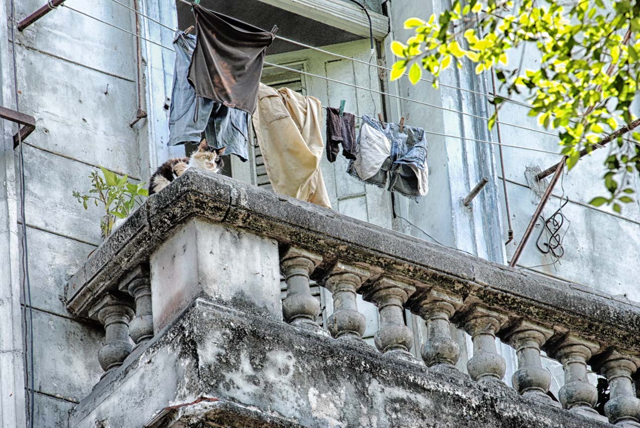 gente en los balcones 5.jpg