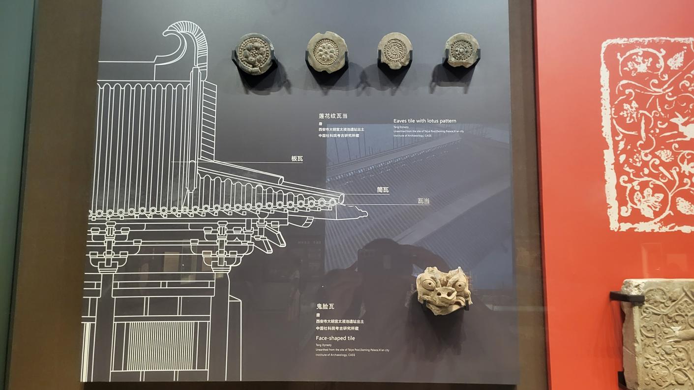 20240823_115344.jpg