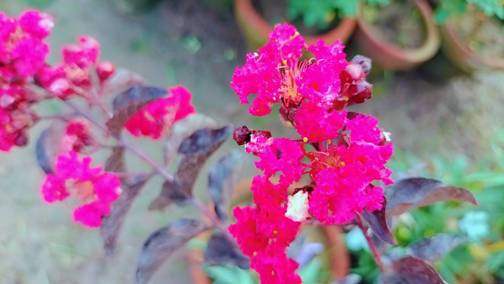 IMG_20250728_234710.jpg