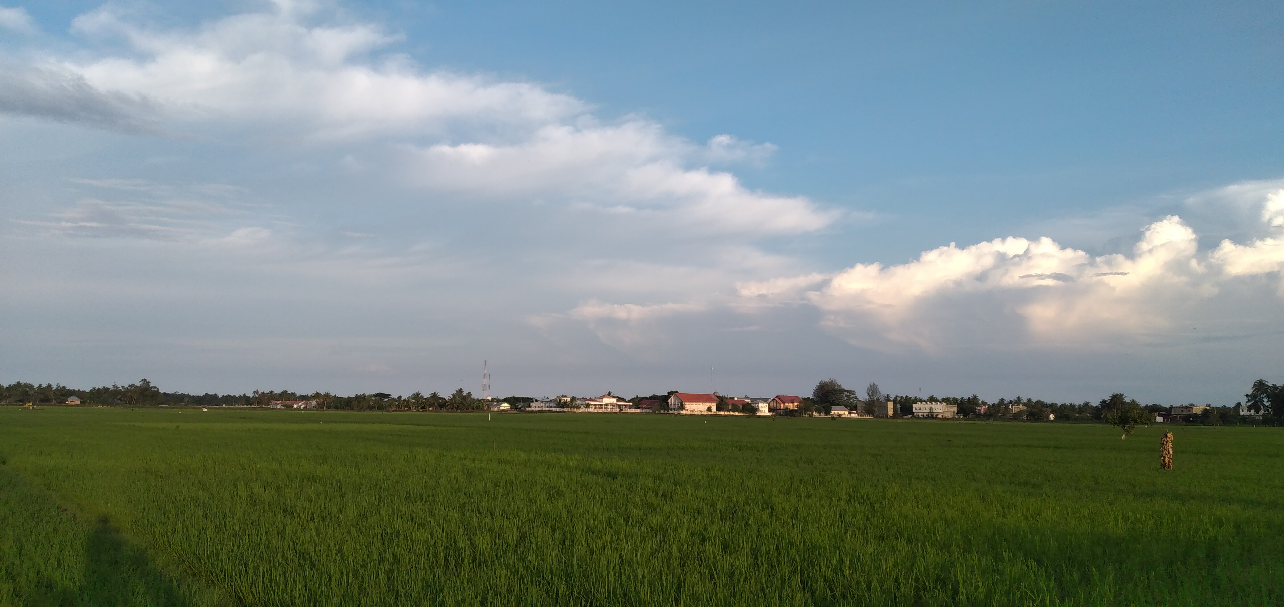 20230210_071752.jpg