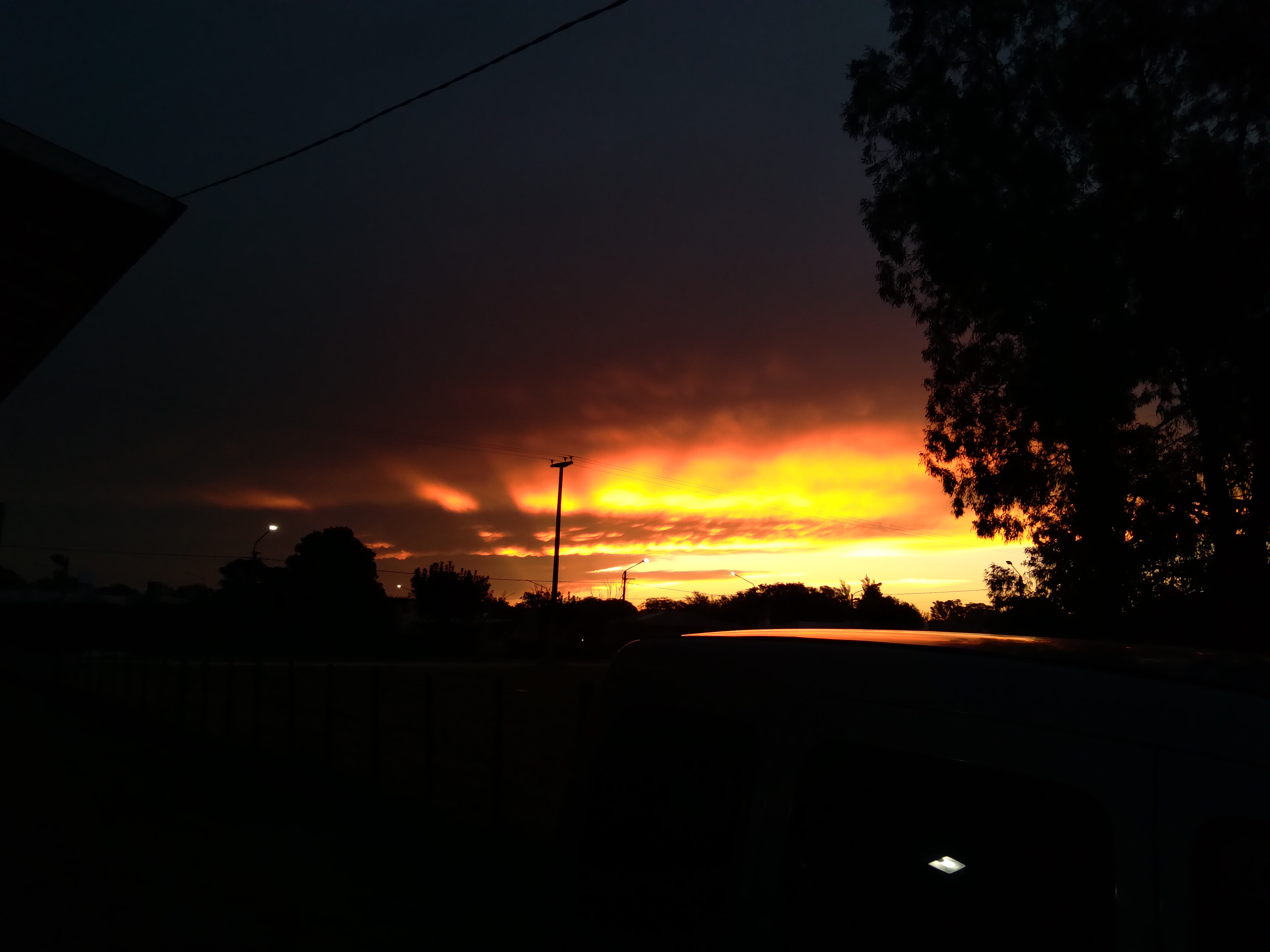 20210307_194346.jpg