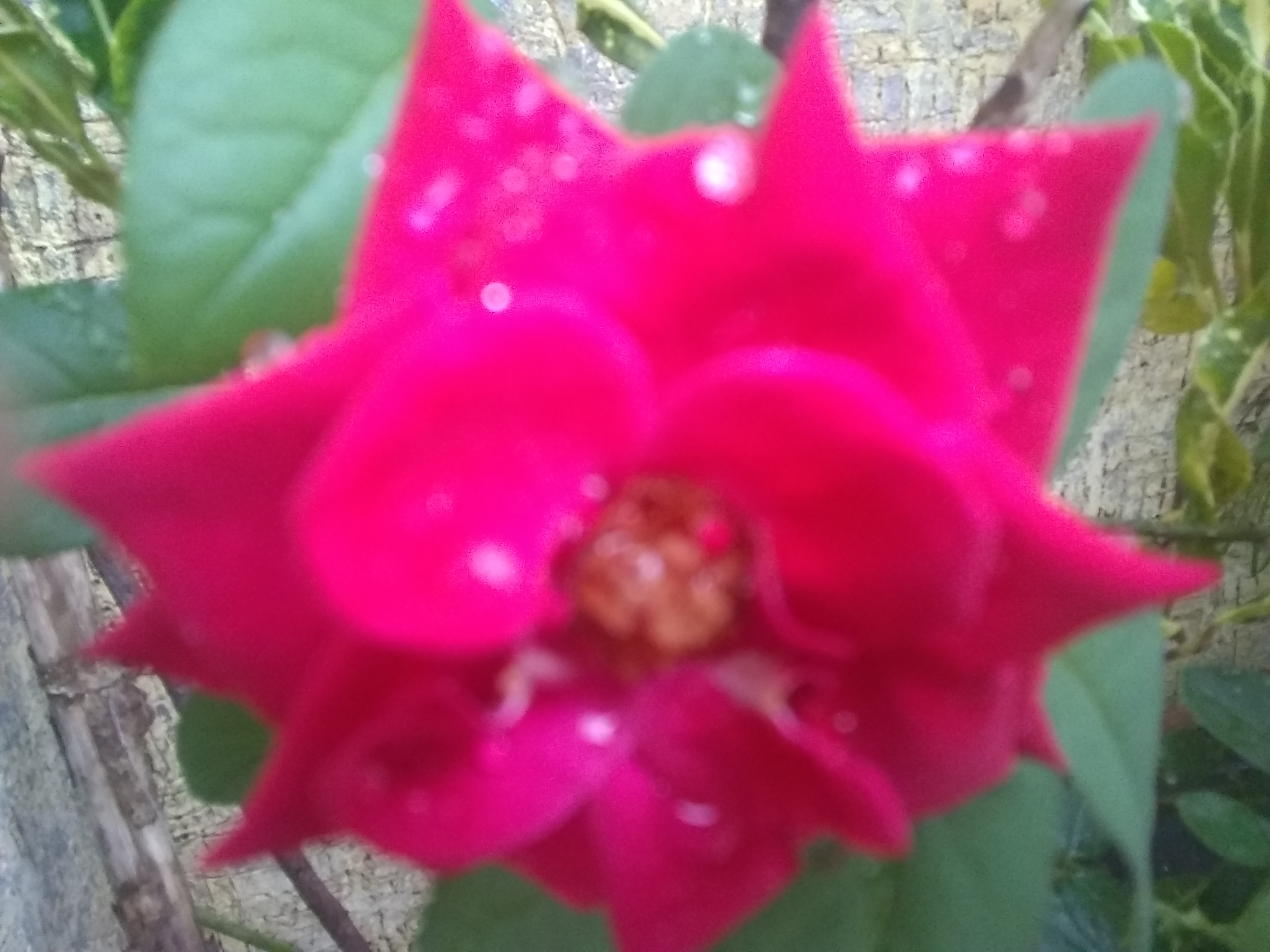 IMG_20220928_172001721.jpg