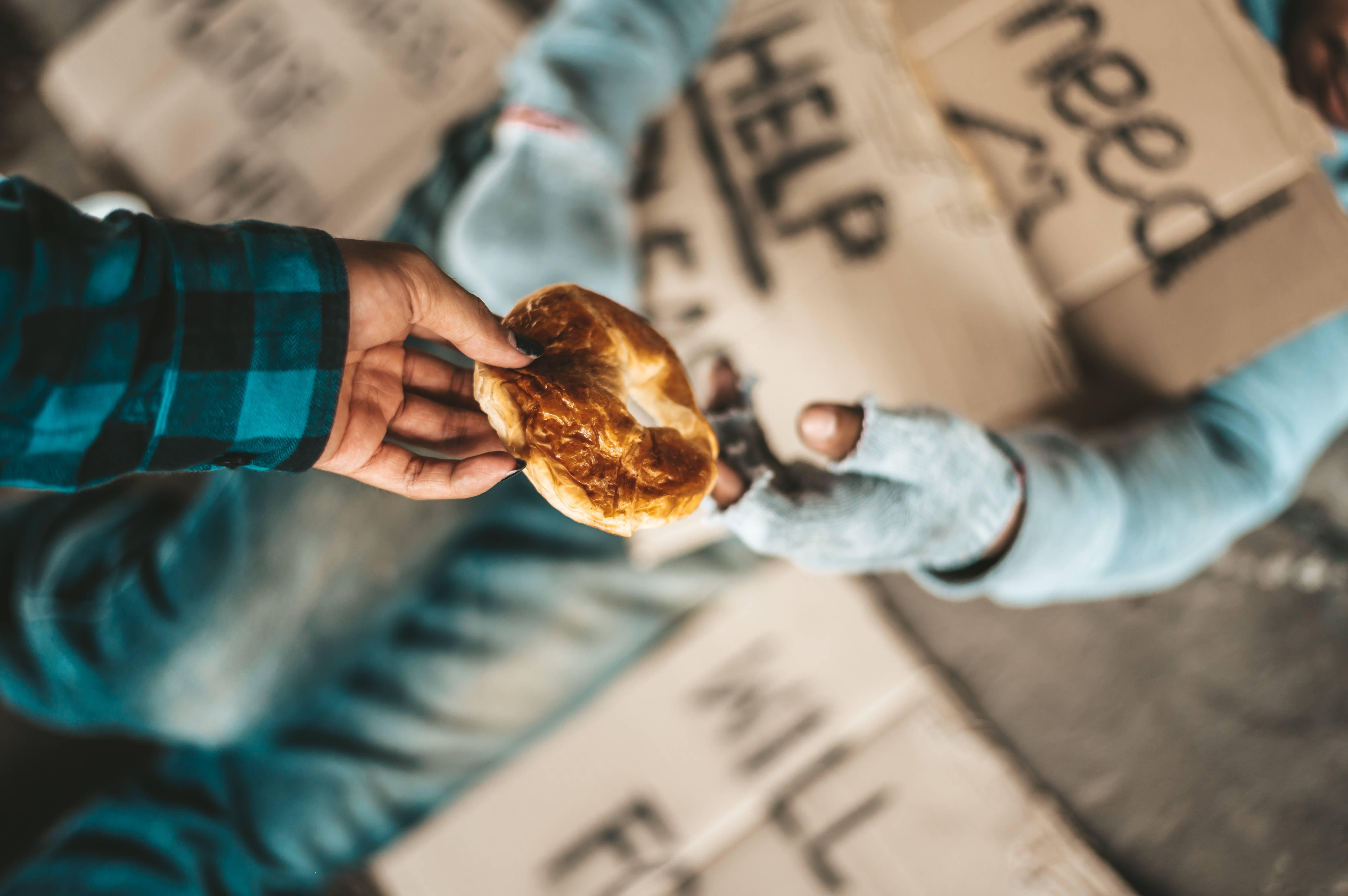 begging-bridge-with-person-who-handed-bread.jpg