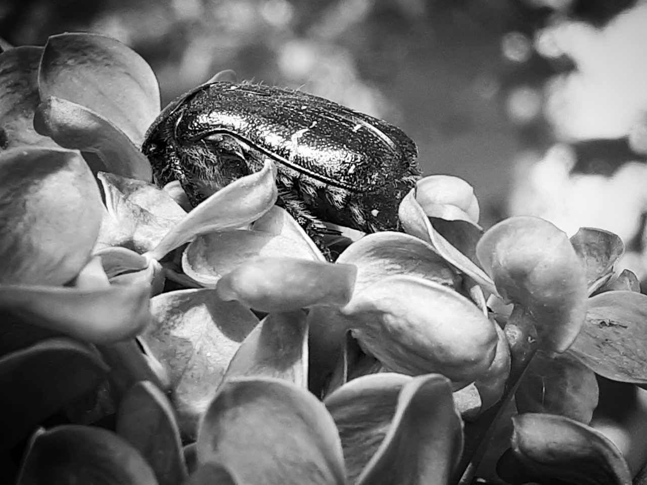 20220509_104000.jpg