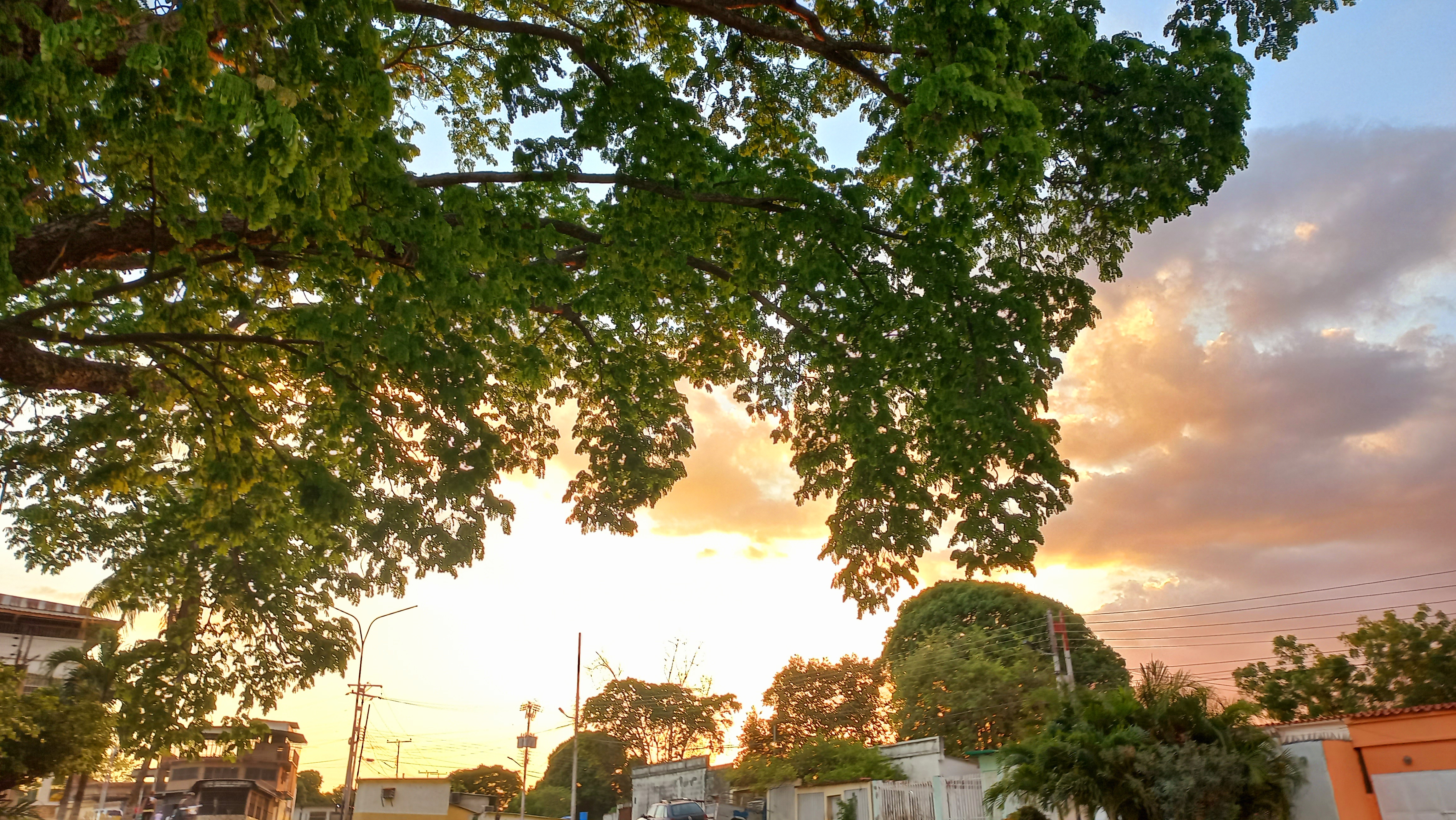 20250509_182224.jpg