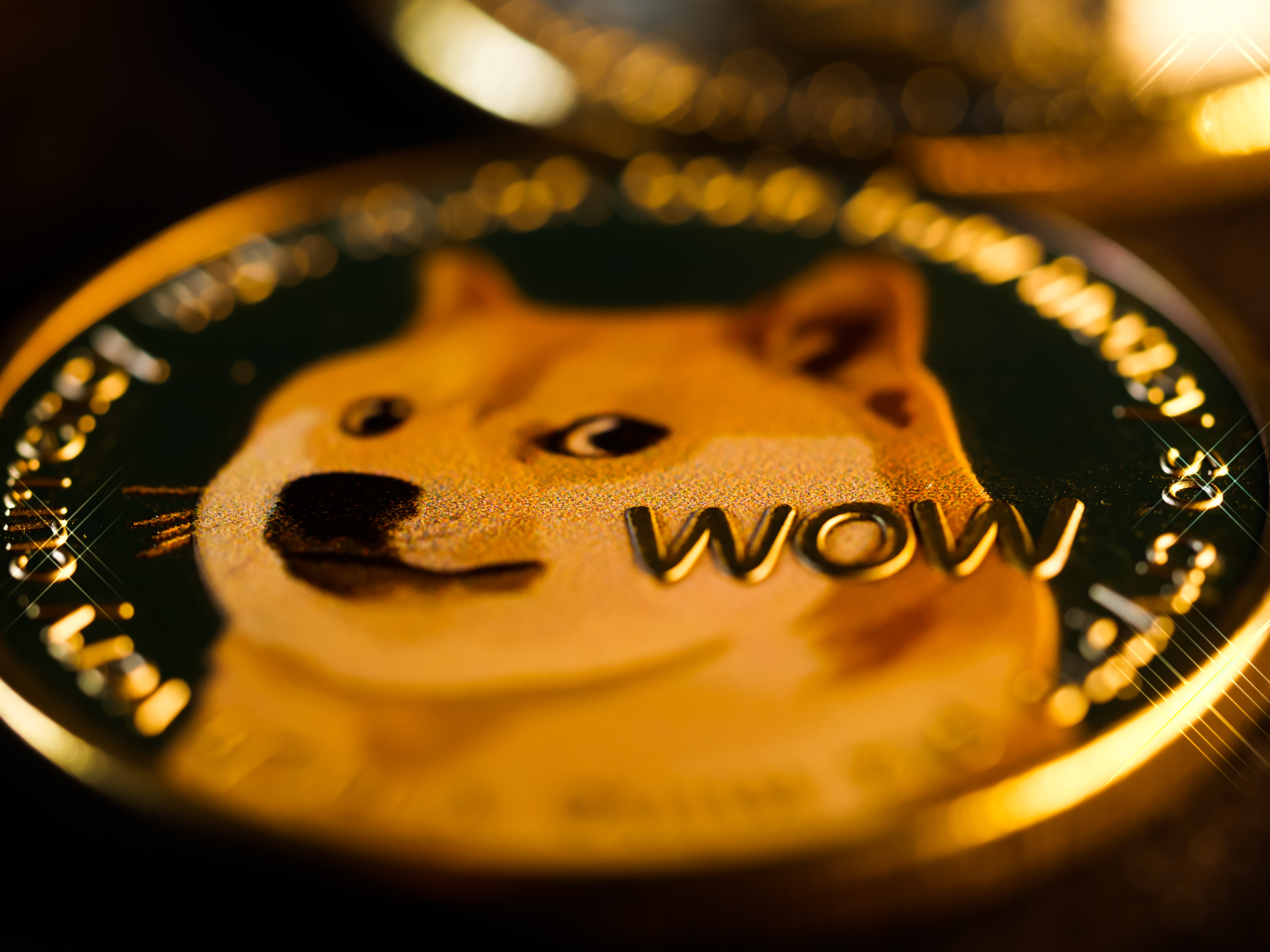 The Shiba Inu Dogecoin logo on a coin.