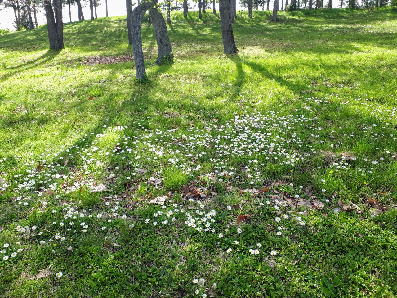 20250416_150902.jpg
