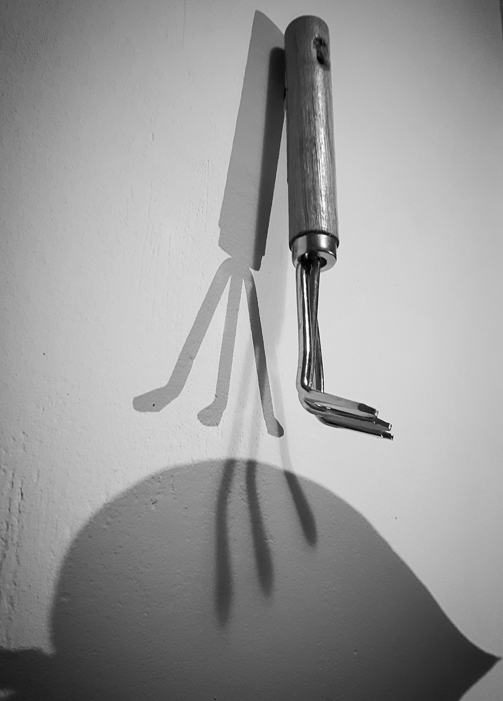 20190108_165532.jpg