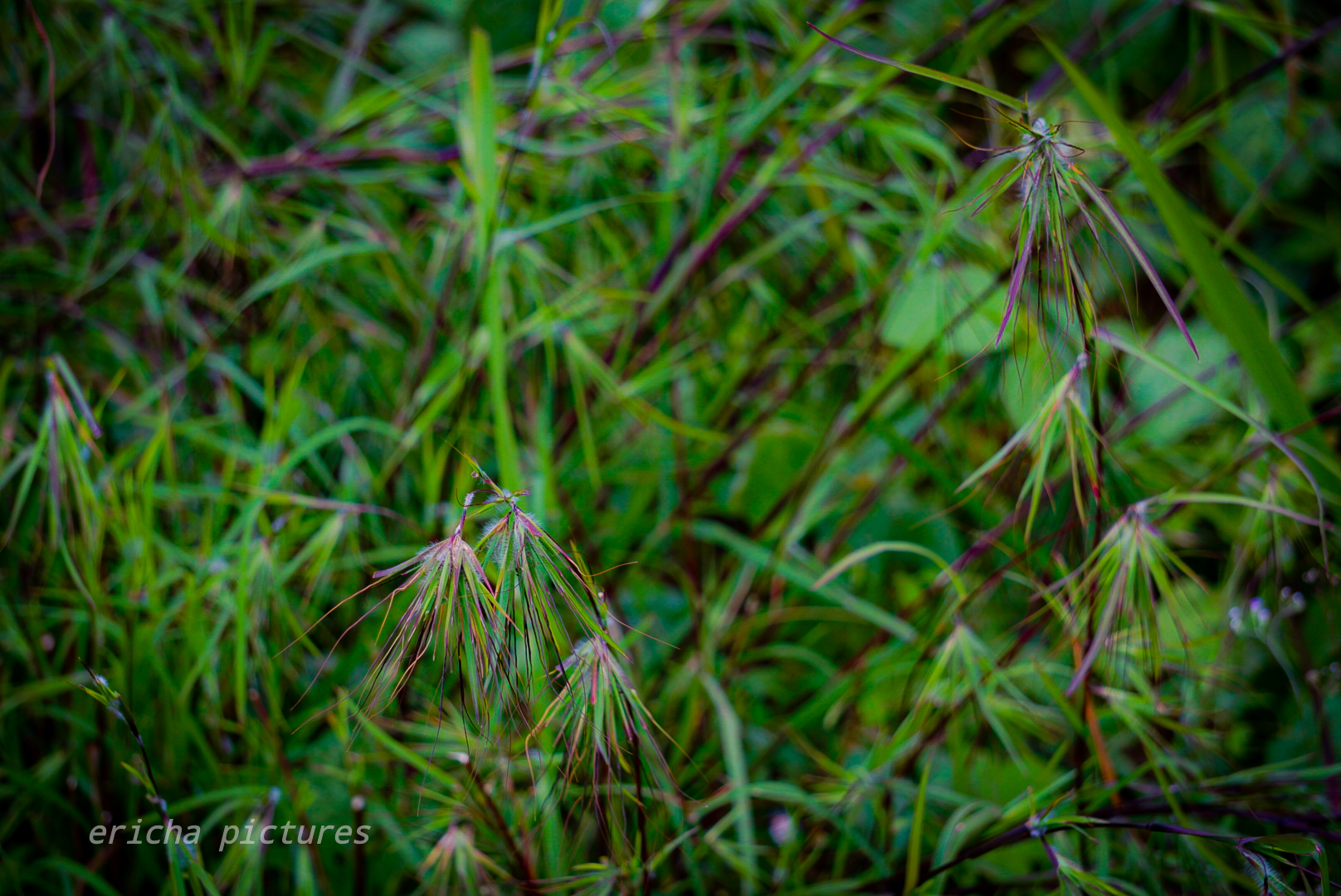DSC02841.jpg