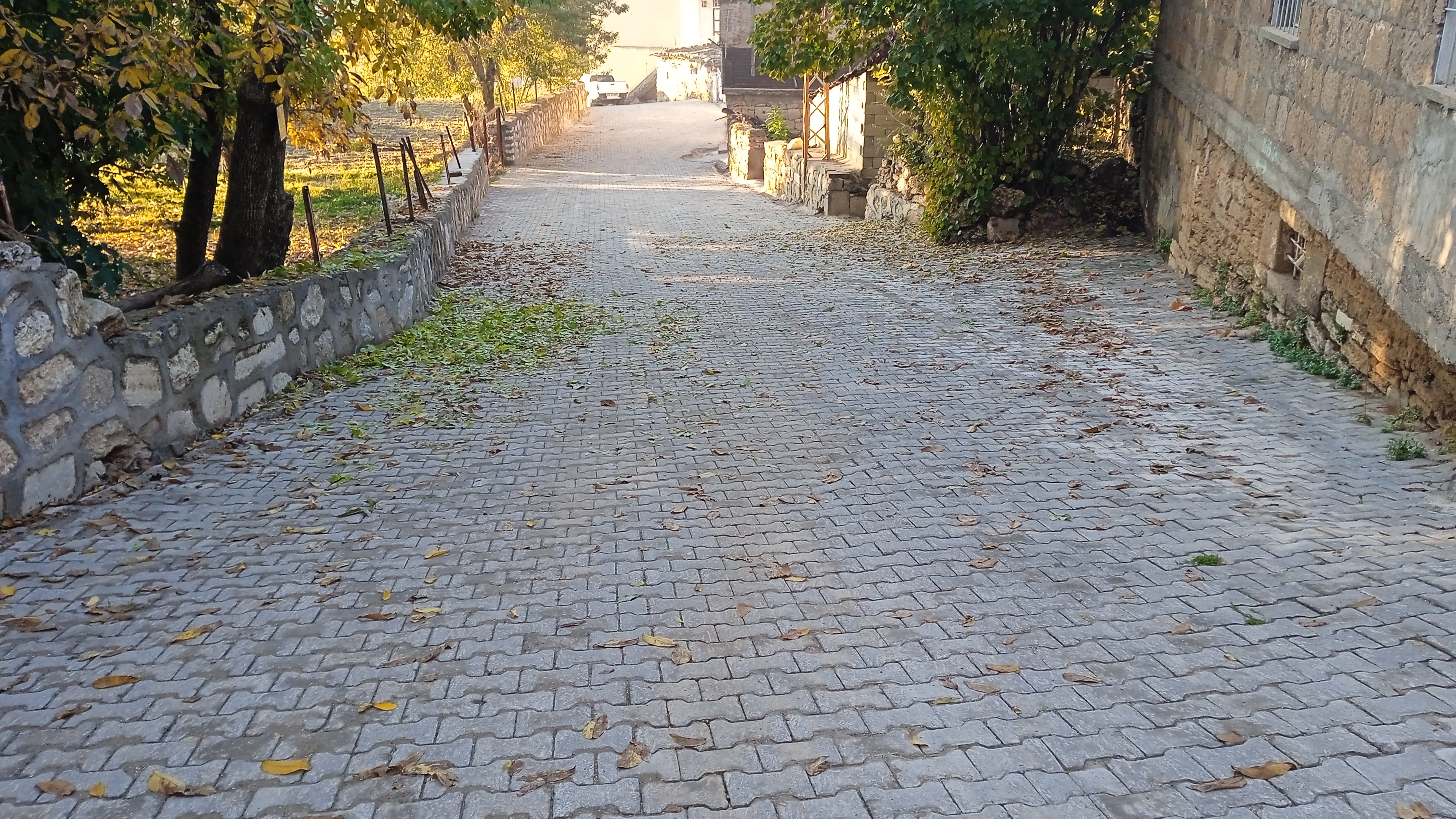 IMG_20221112_075428_1.jpg