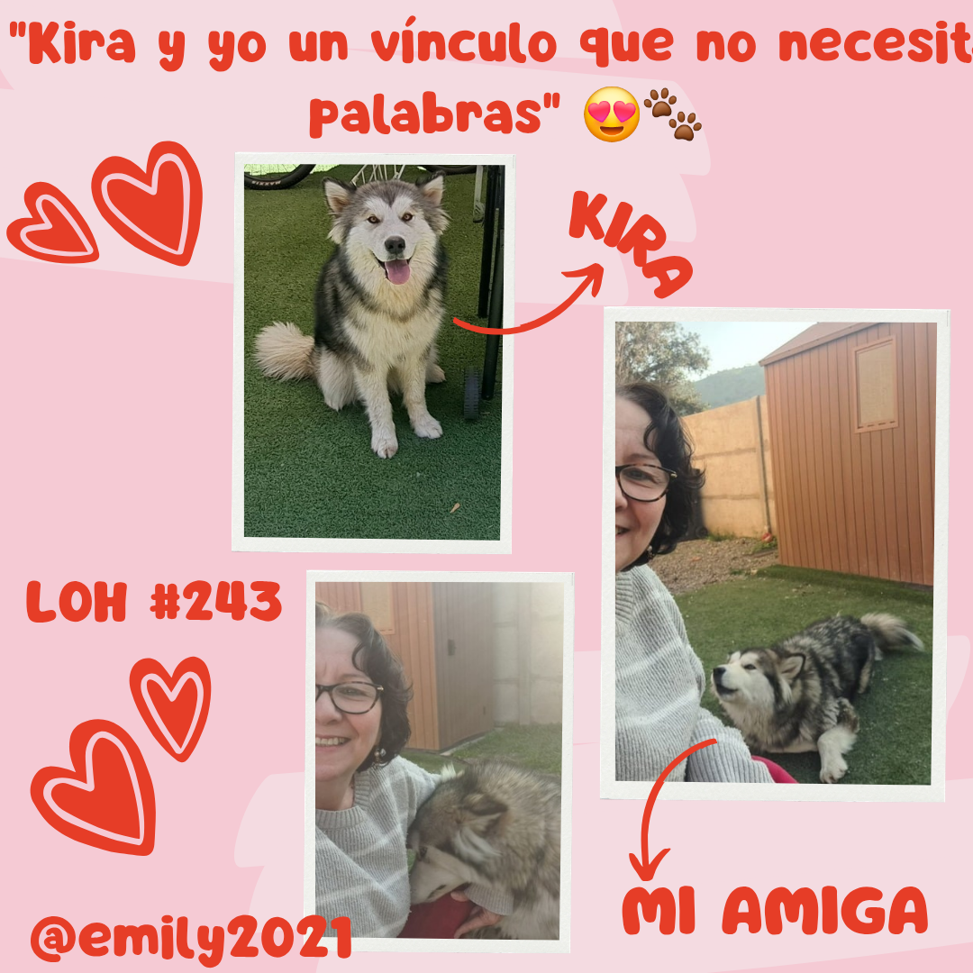 Kira_20250628_125831_0000.png