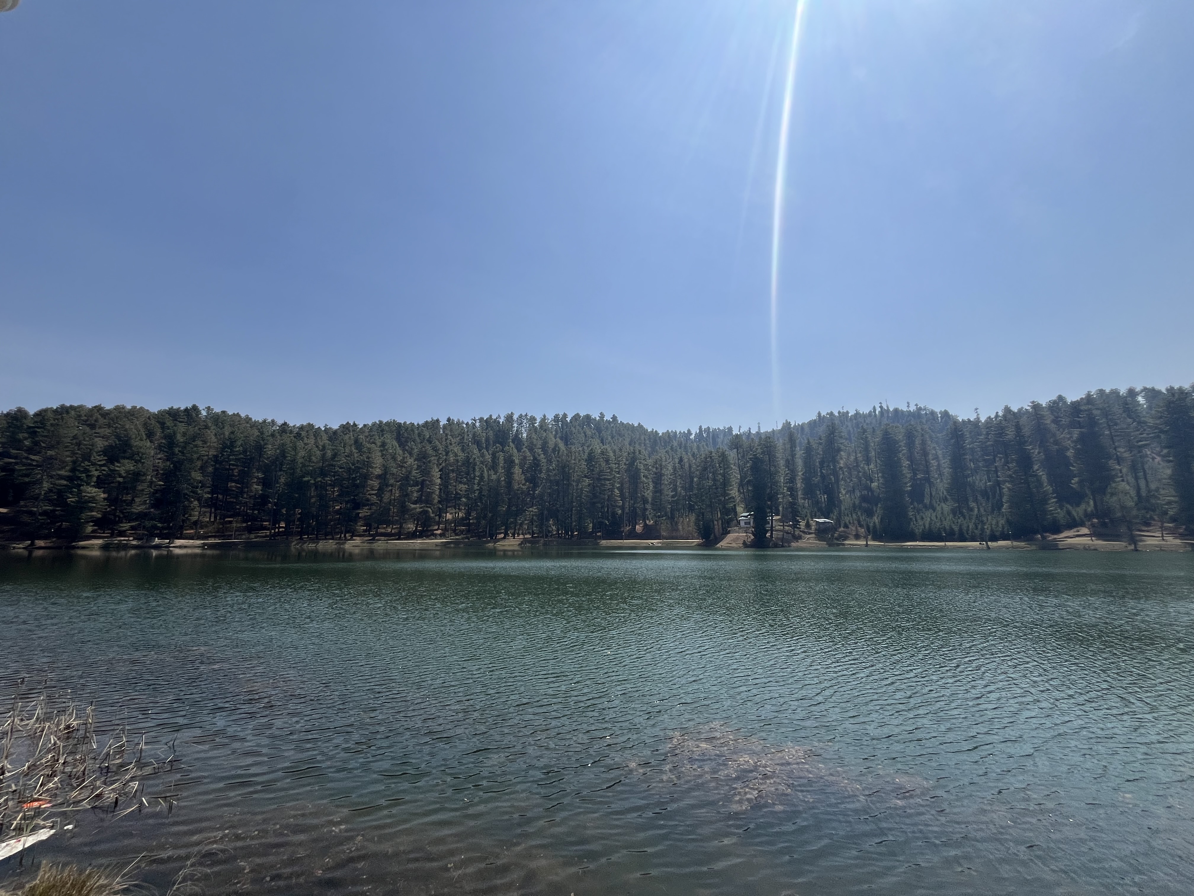 IMG_3102.jpeg
