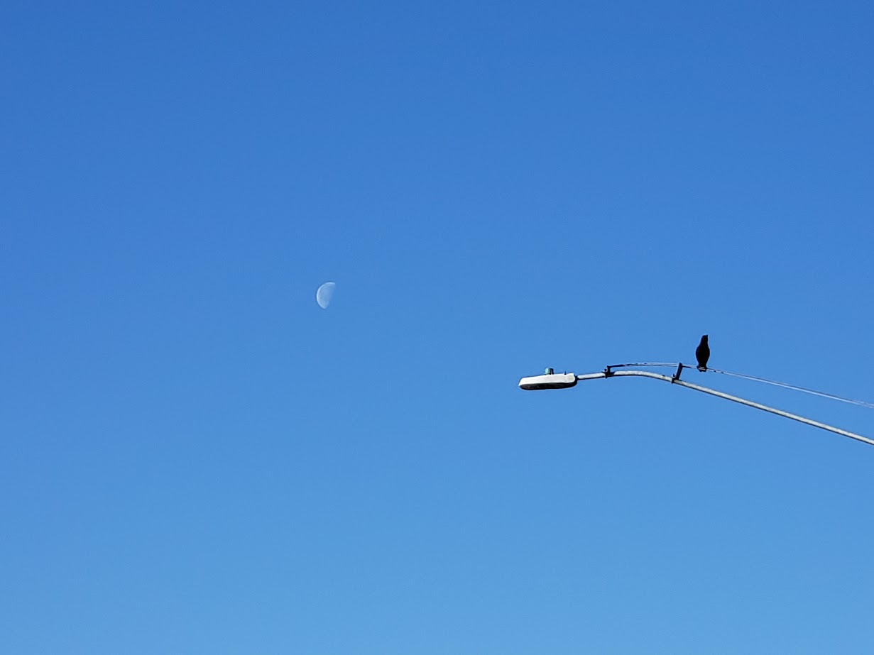 20250120_090817.jpg