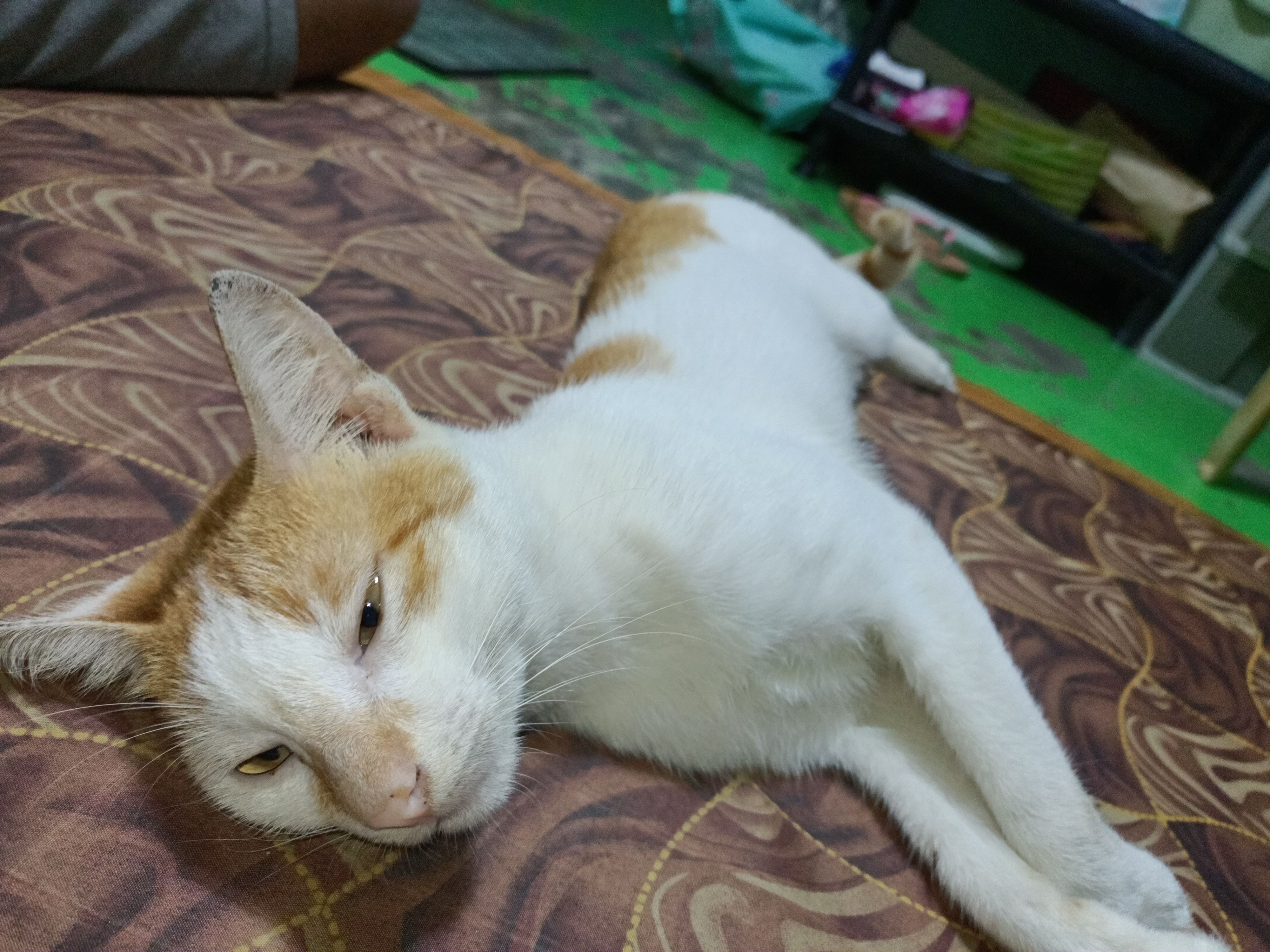 IMG20221014095826.jpg