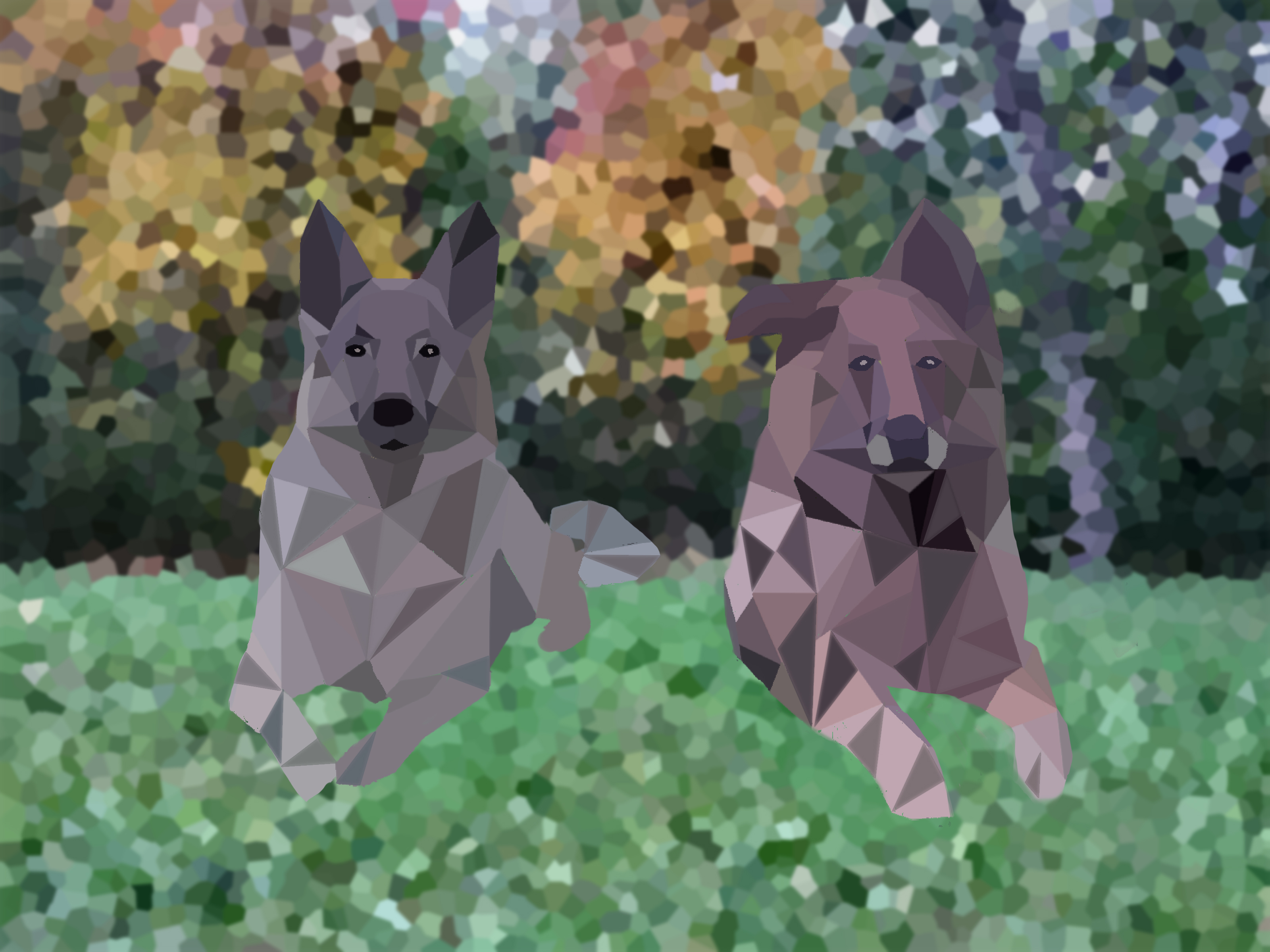 dogs к.jpg
