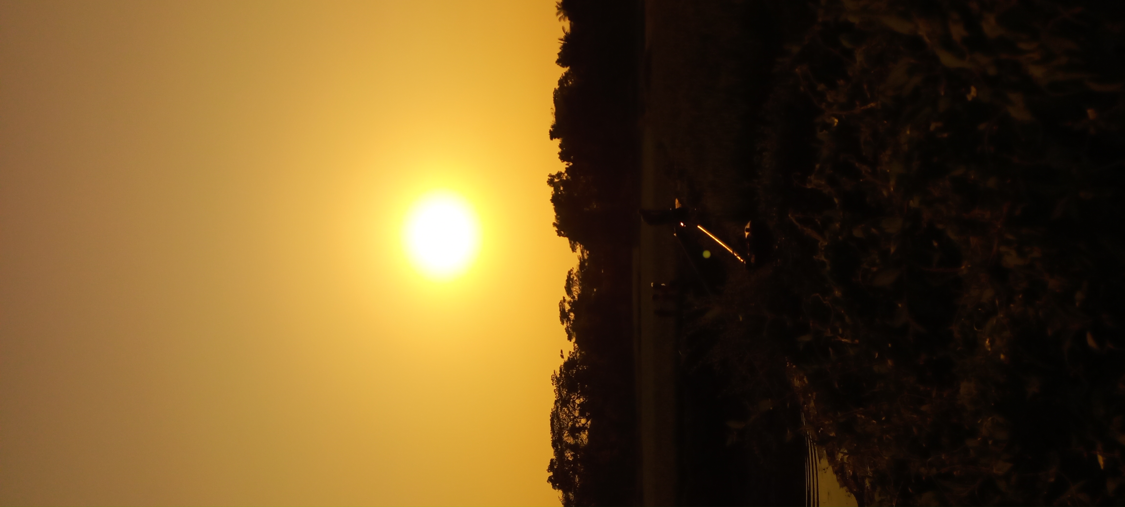 20220320_170526.jpg