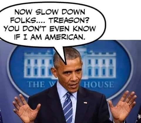 Obama American Treason GwKzq1PXgAA1PCa.png
