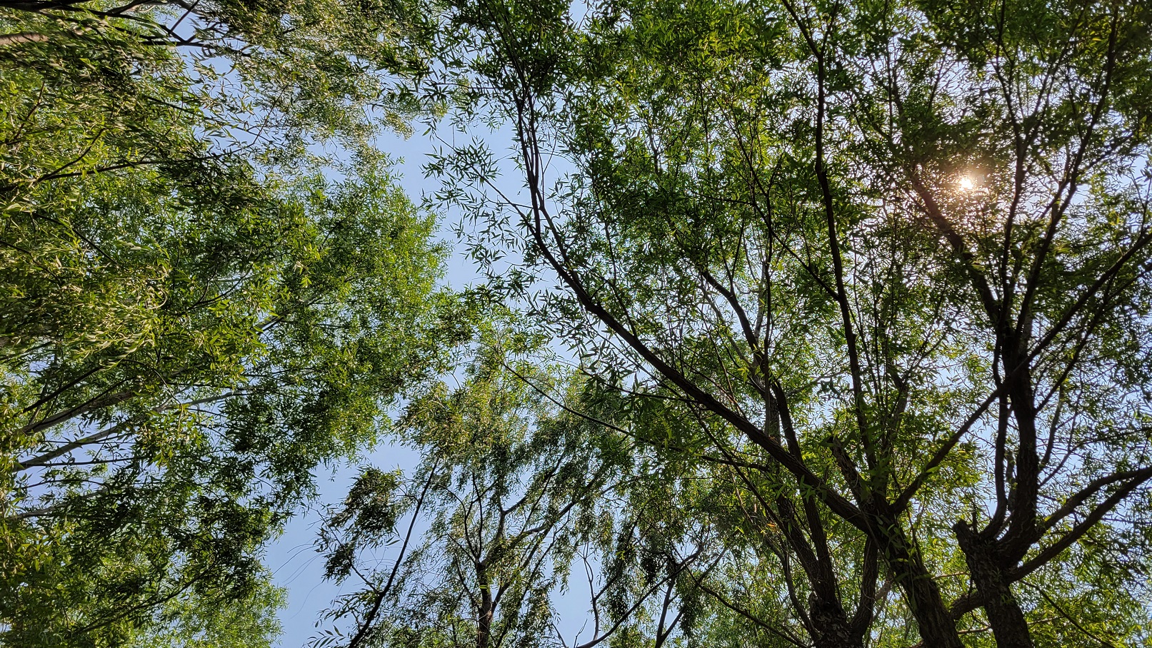 20230718_124011.jpg