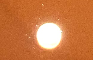 IMG_1516.jpeg