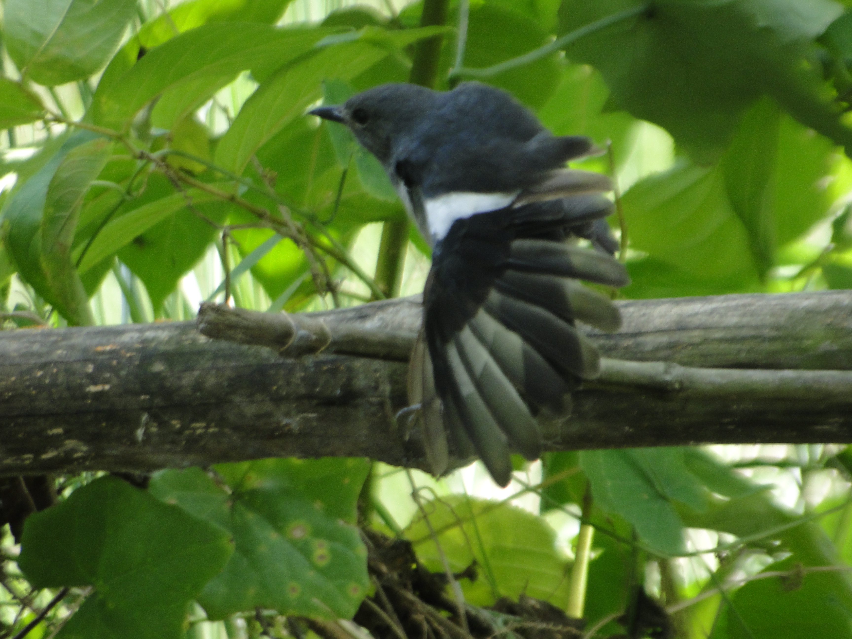 DSC05916.JPG