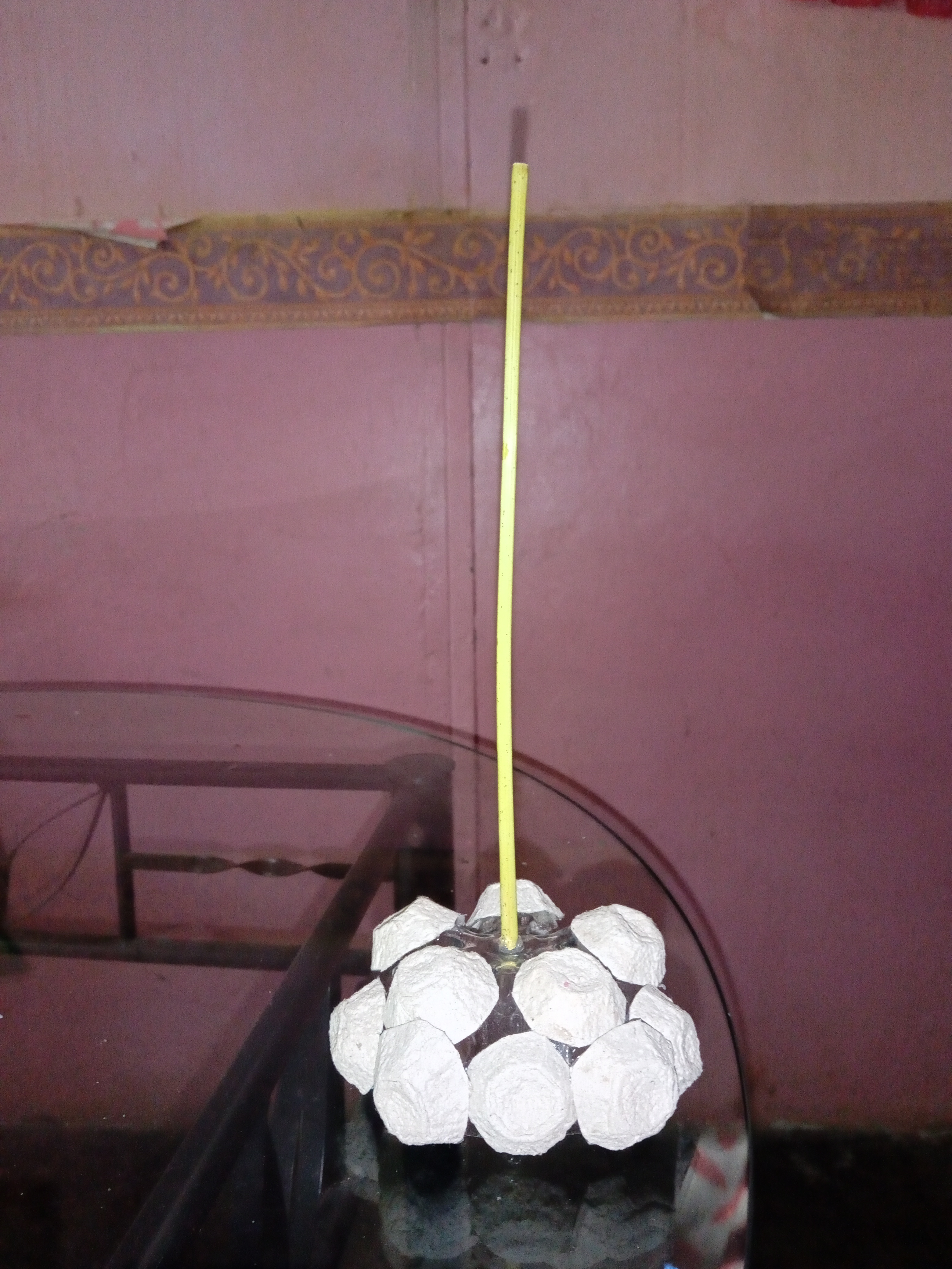 IMG_20210207_153722.jpg