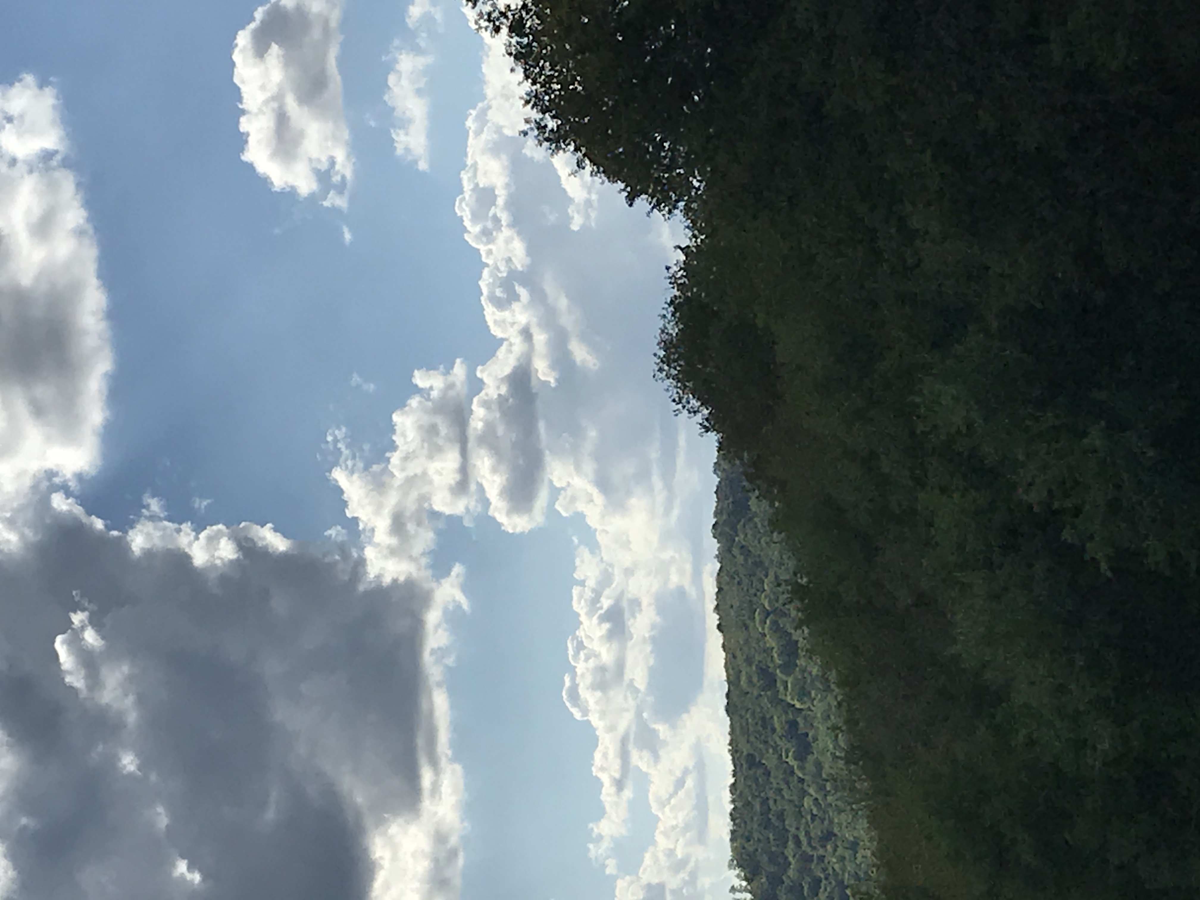 IMG_7485.jpeg