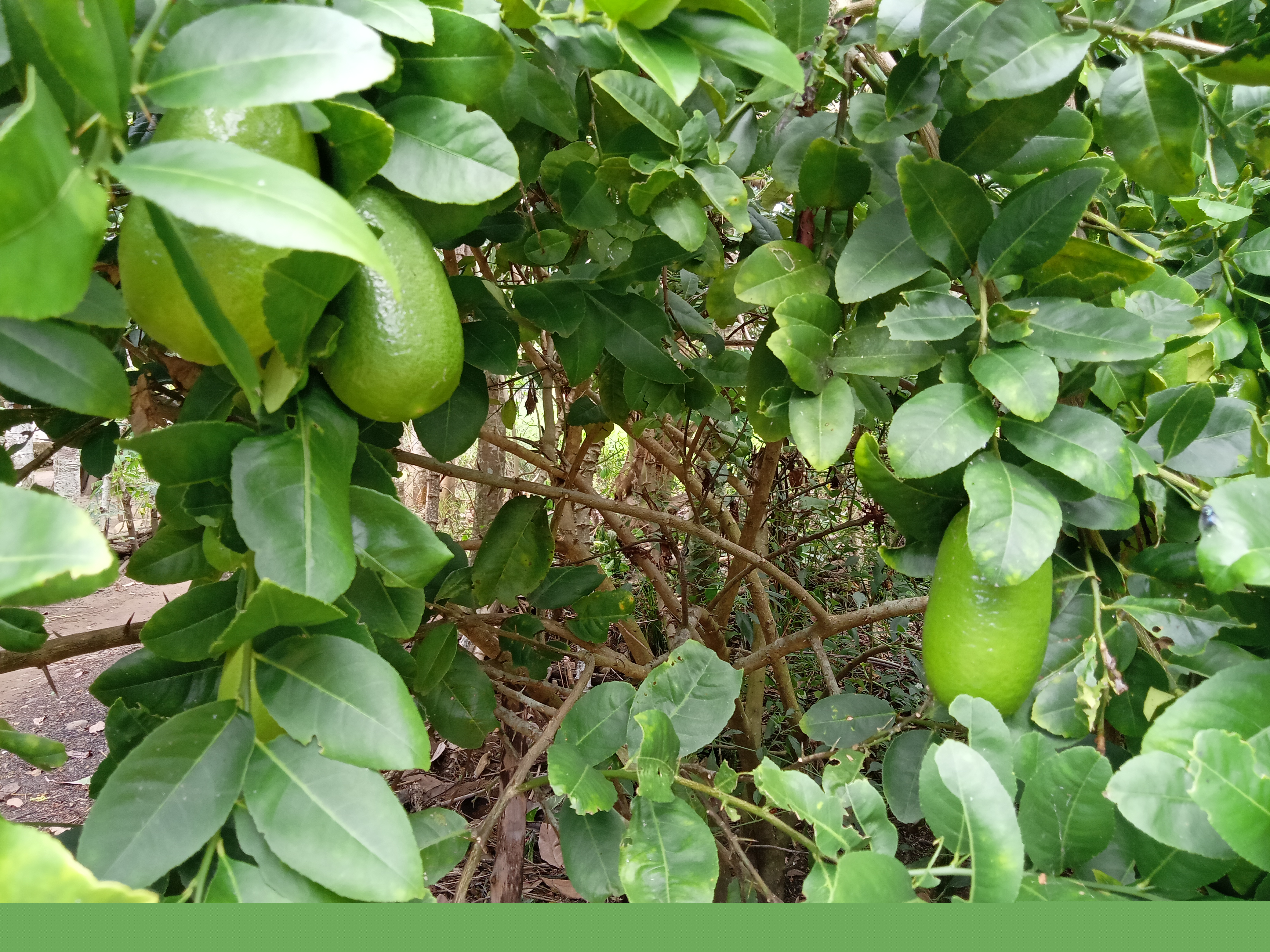 IMG20211215112902.jpg