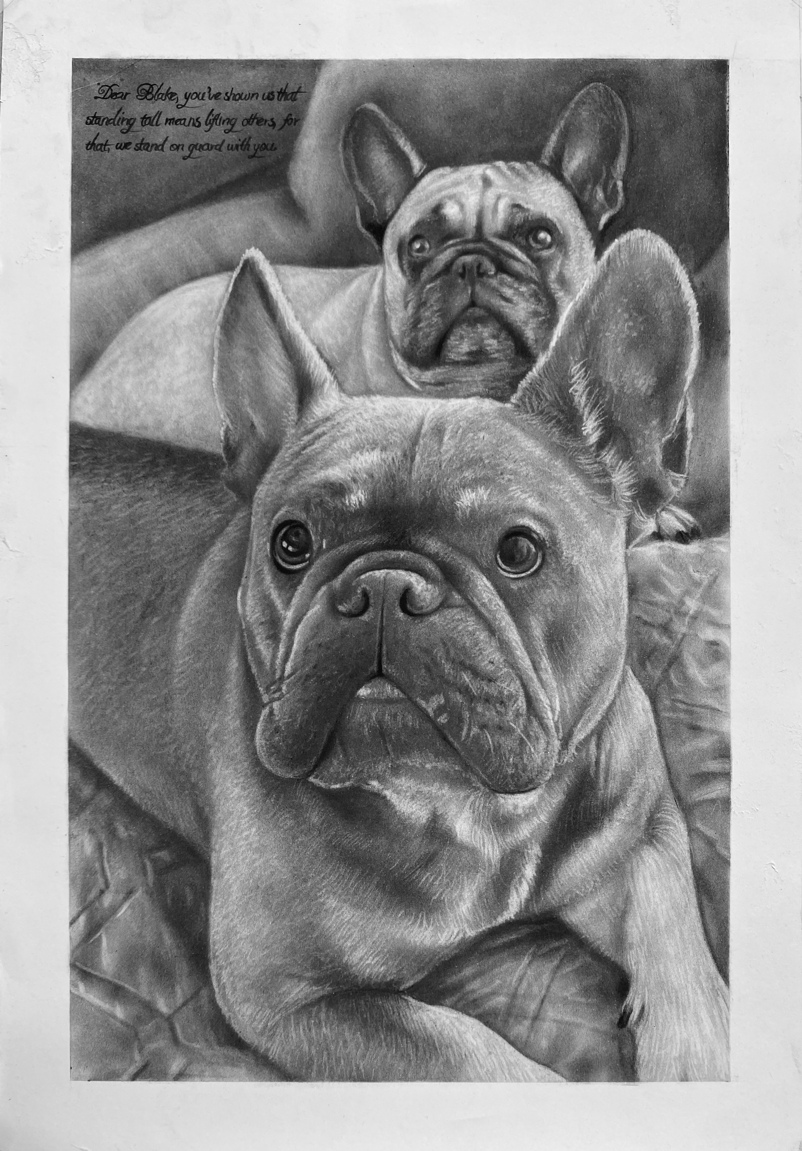 IMG_7…
Payout: 0.000 HBDDrawing Of Pets
2025-07-14 08:59![1000838945.jpg