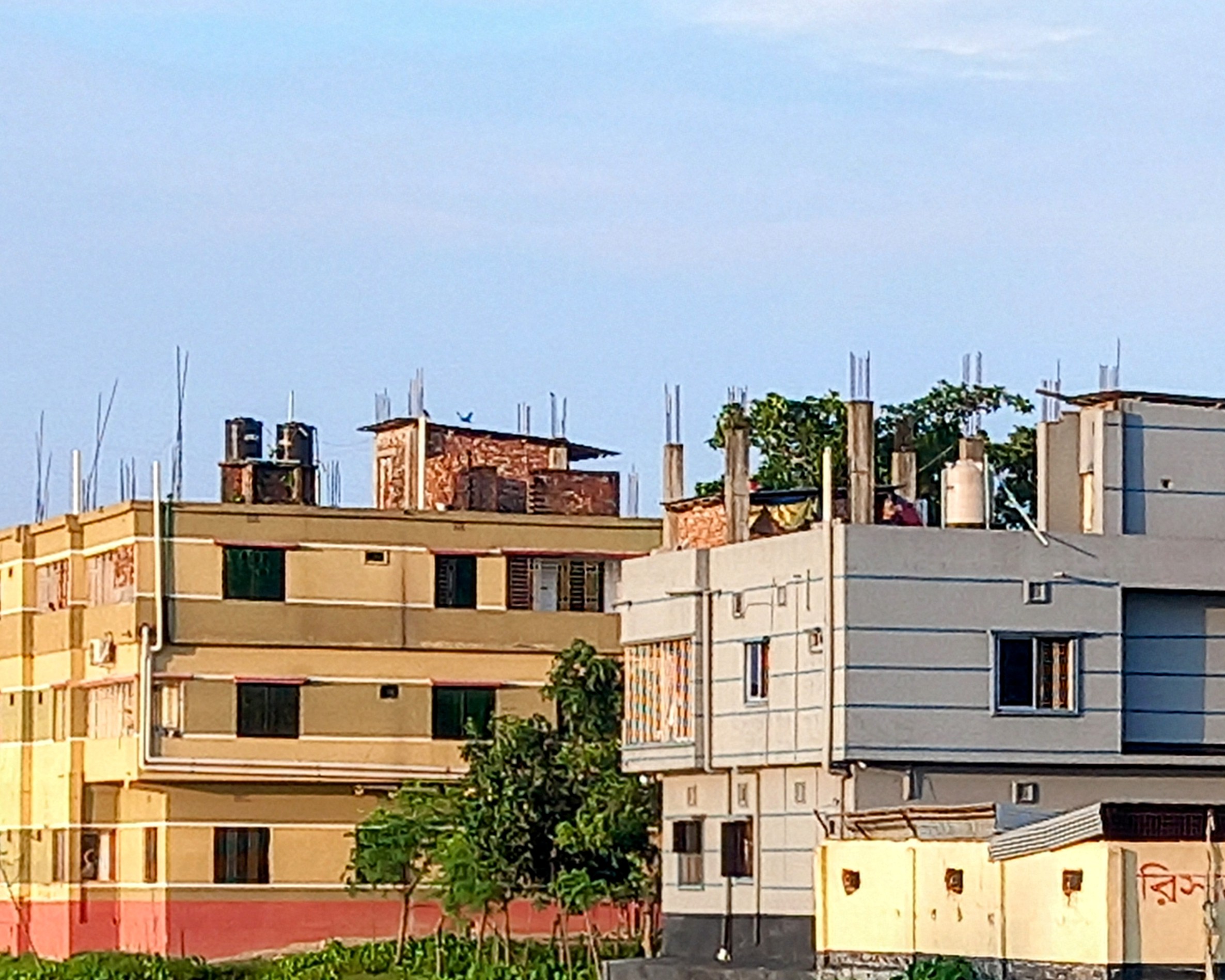 20250627_055744~2.jpg