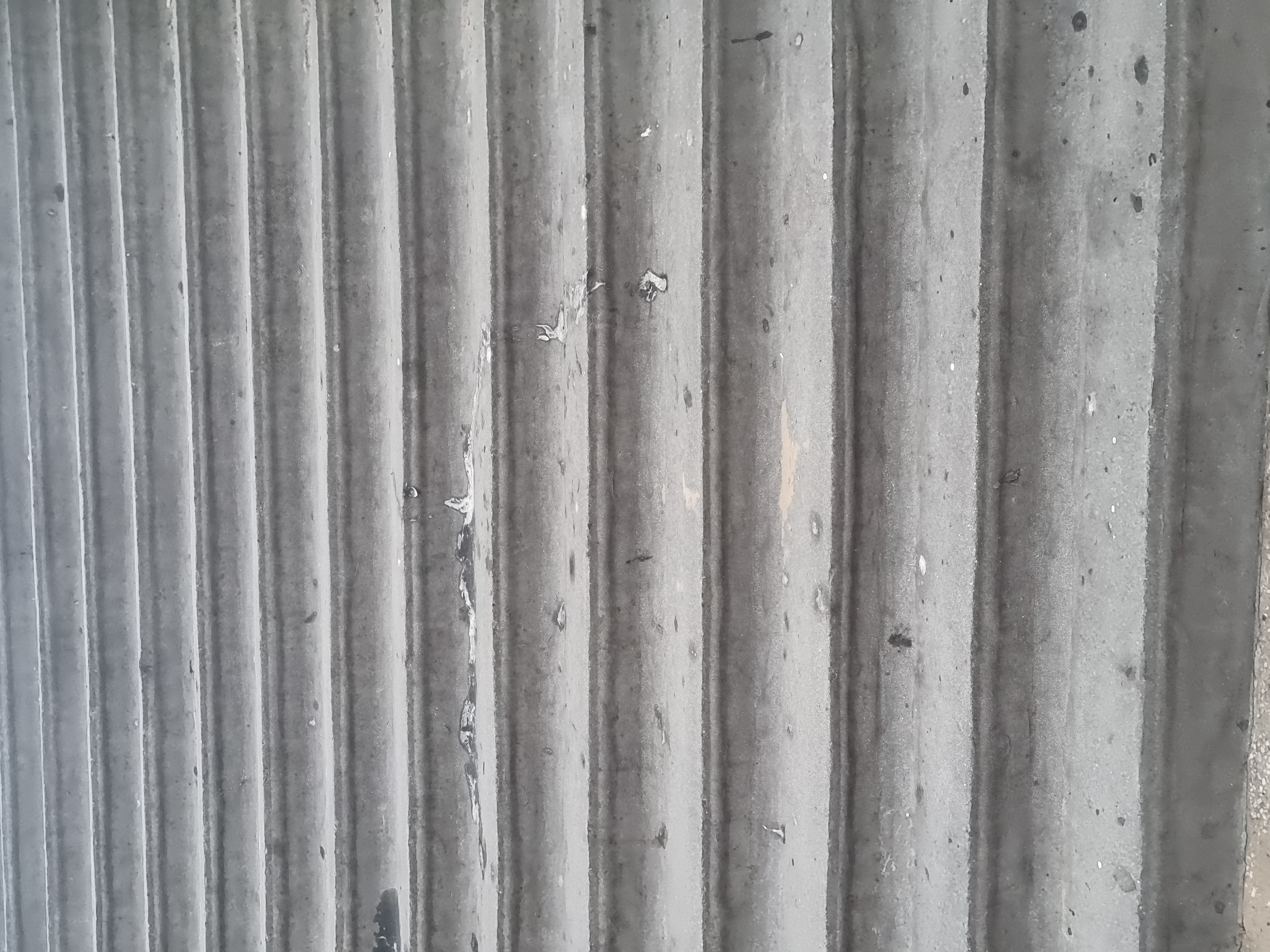 20230906_194826.jpg