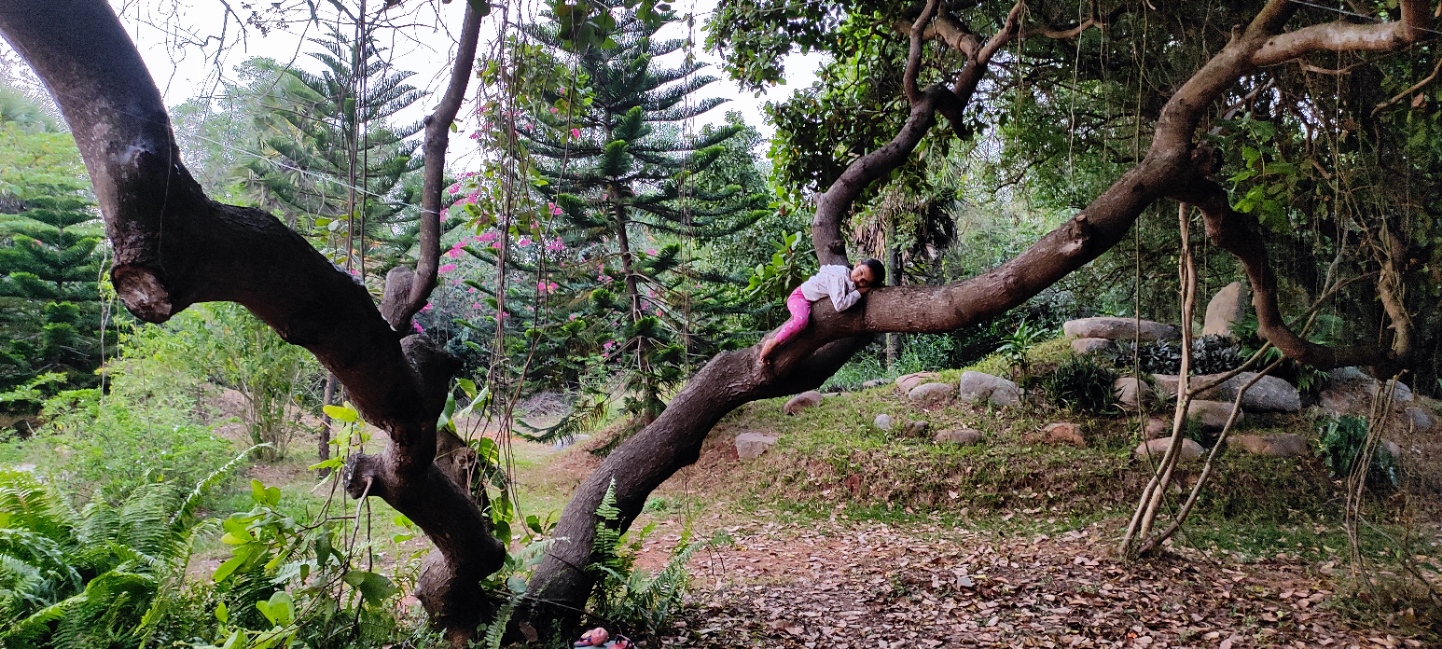 Shreeja Tree Climbing.jpg