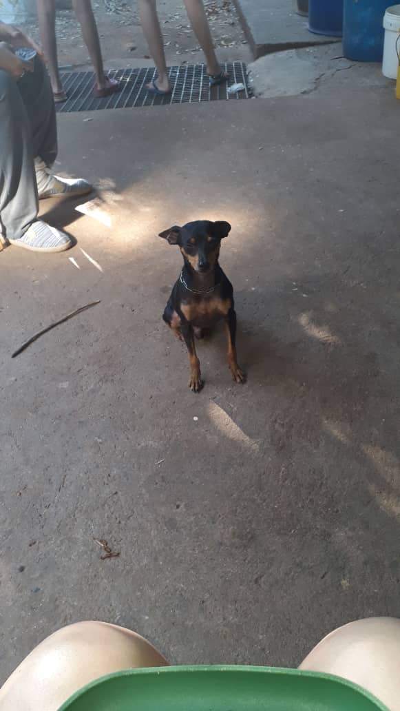 IMG-20190105-WA0004.jpg