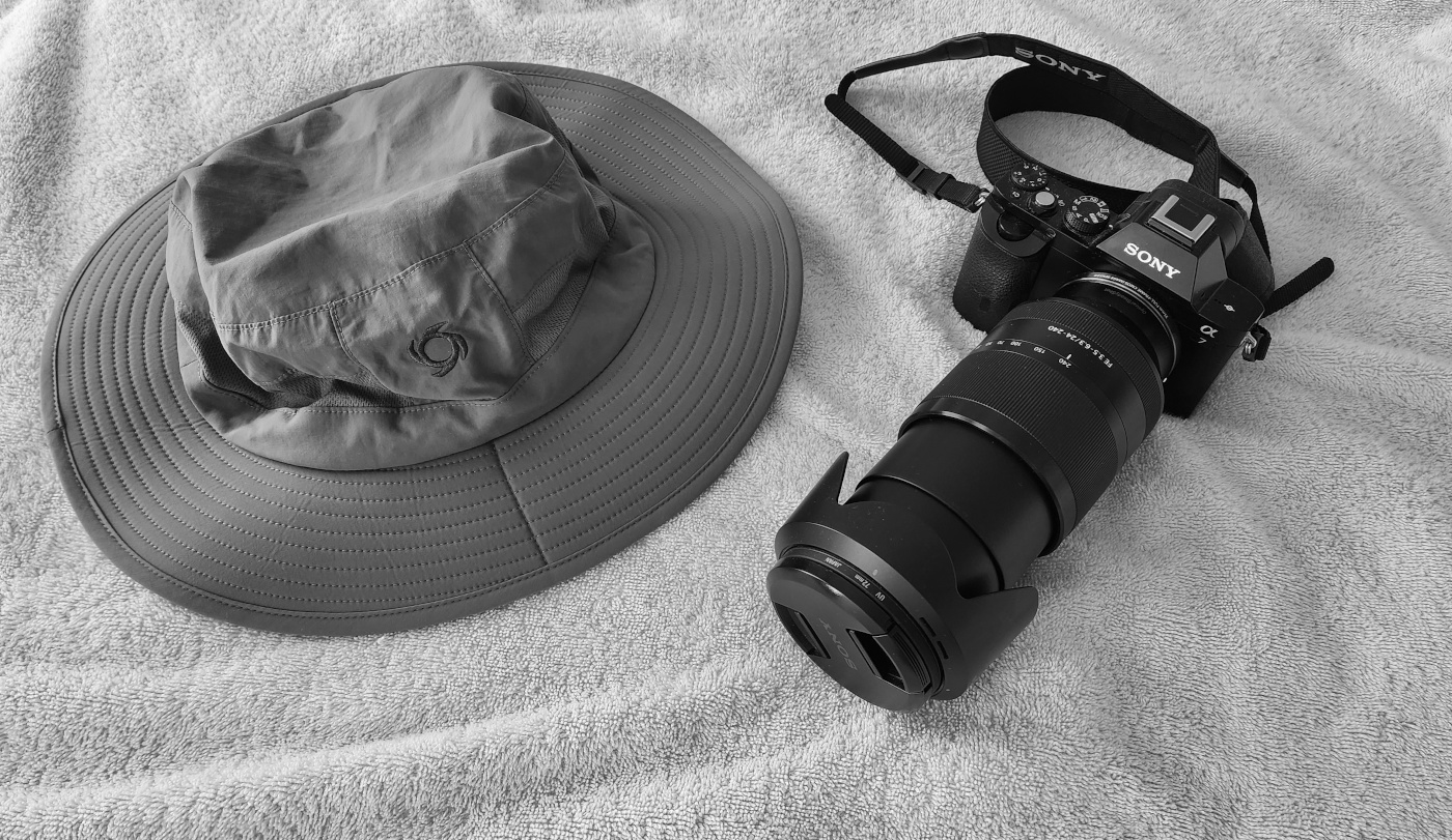 safari-001-bw.jpg
